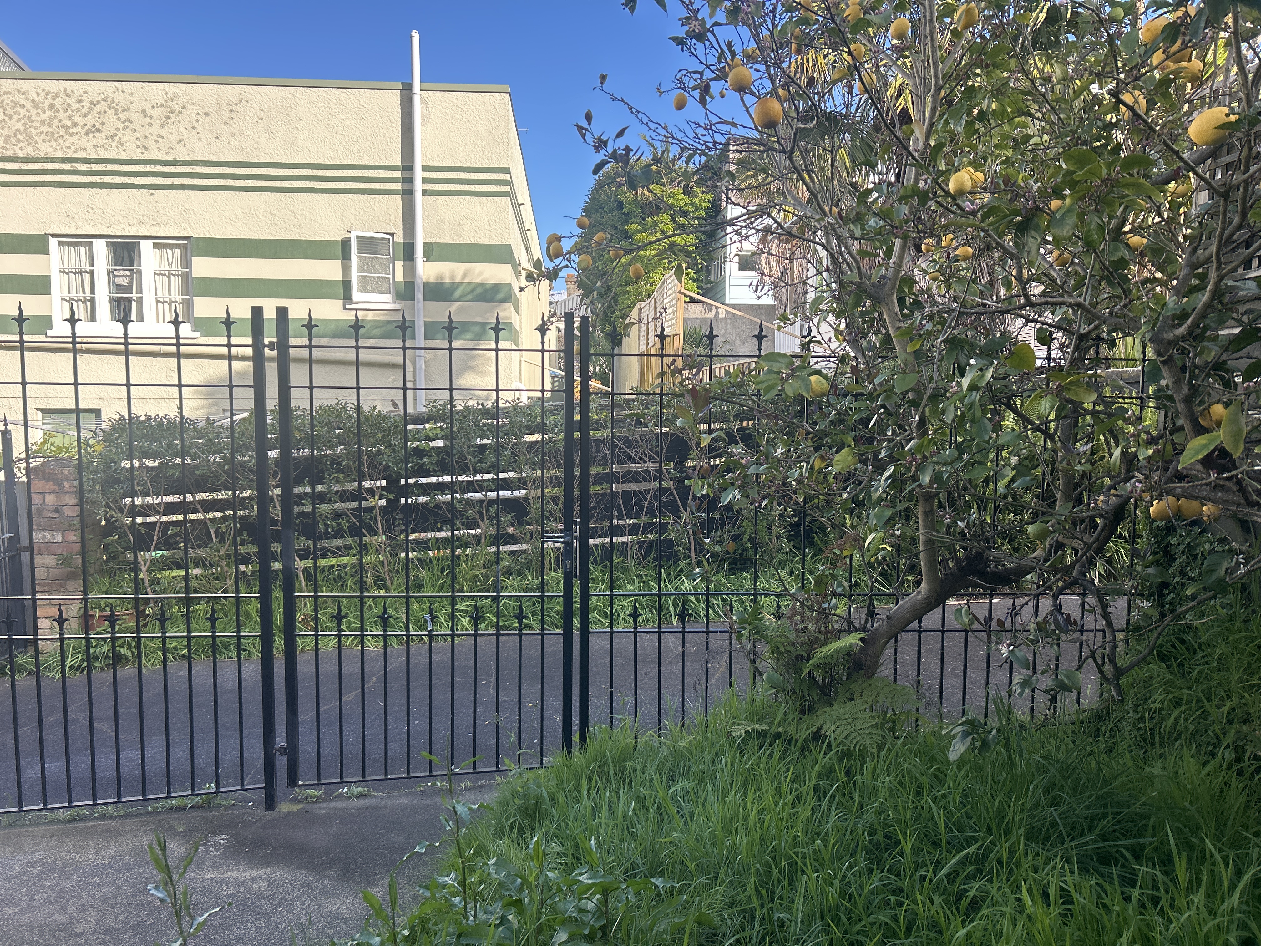 image-13