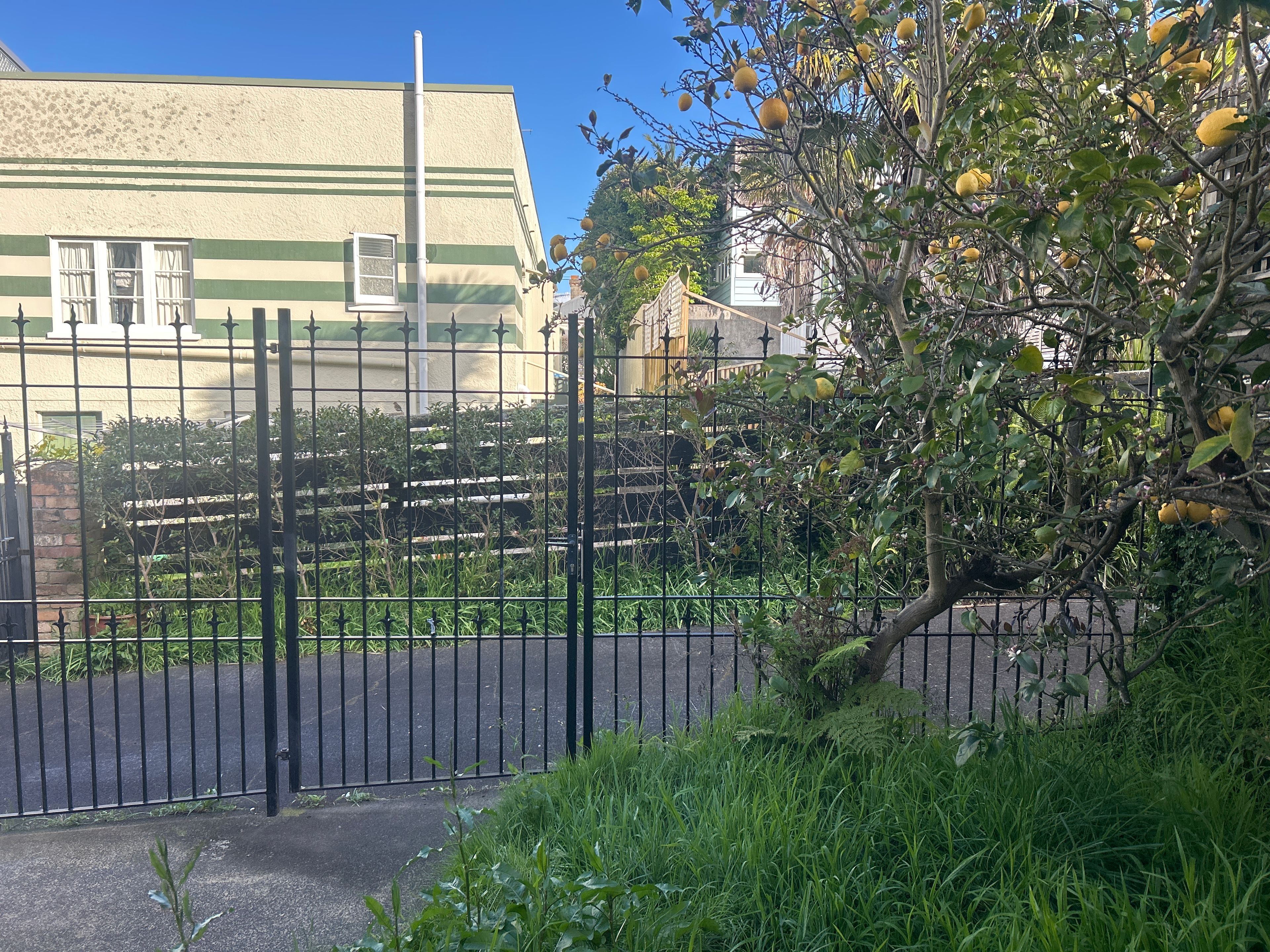 image-13