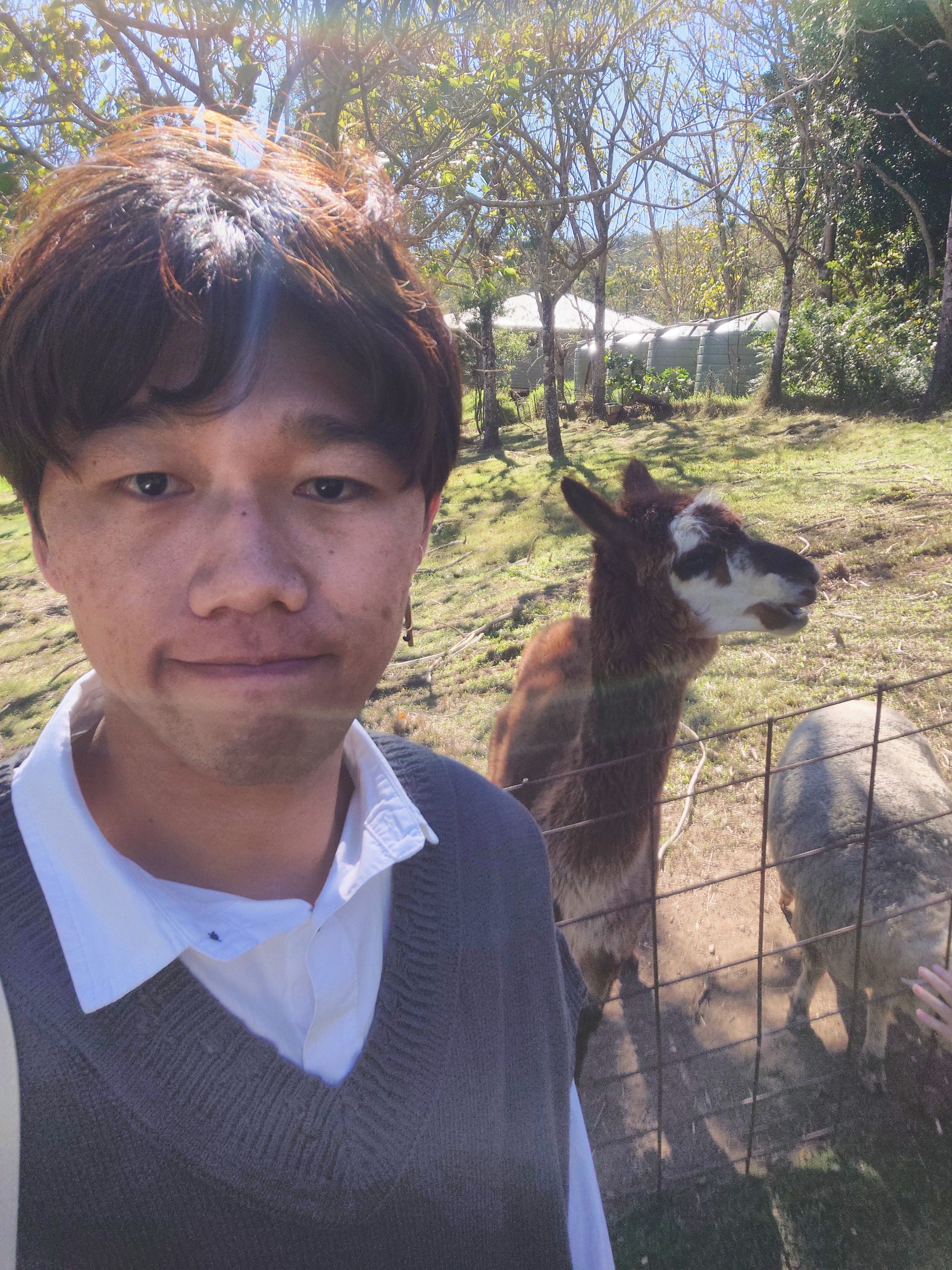 image-5