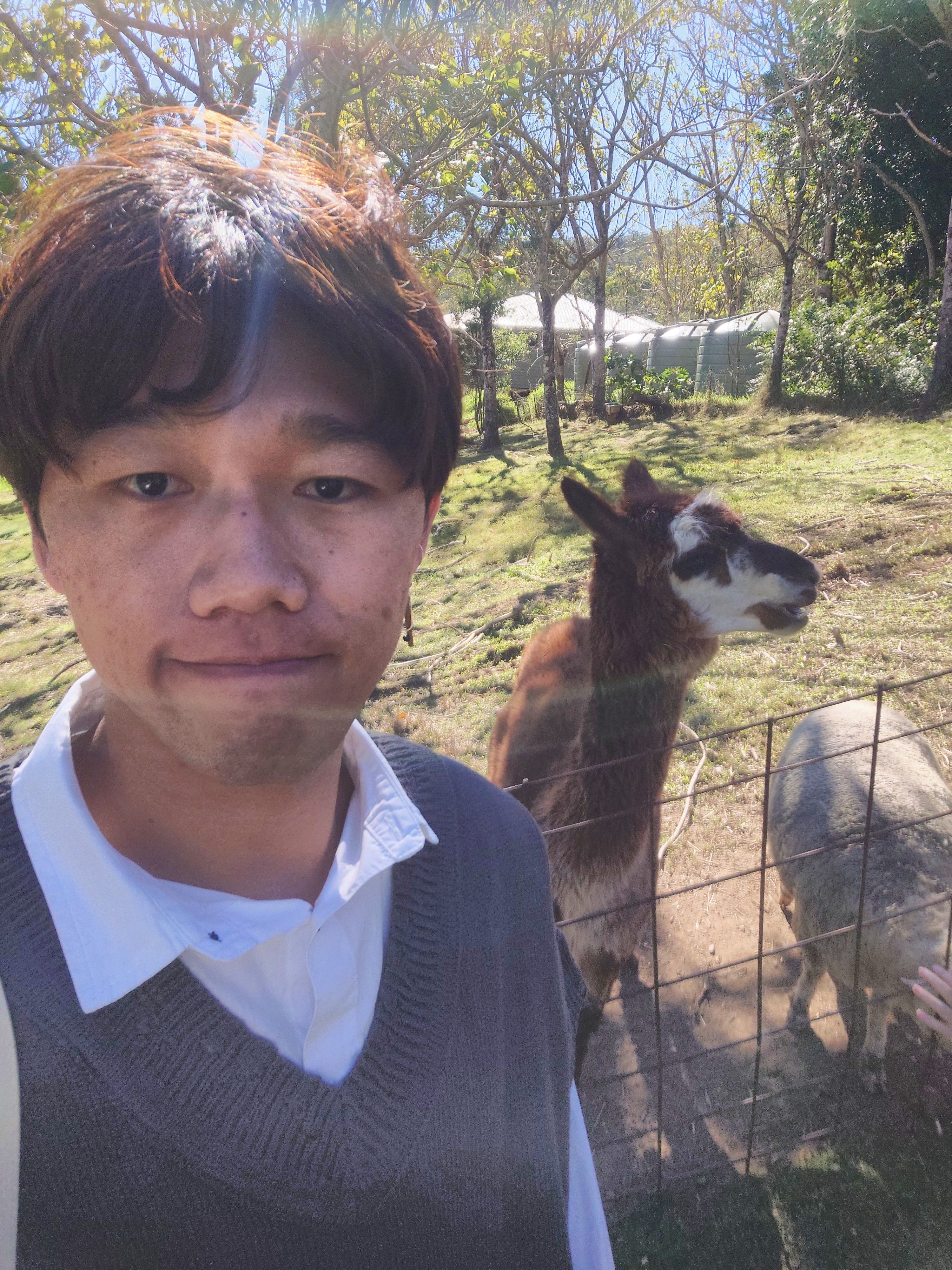 image-5