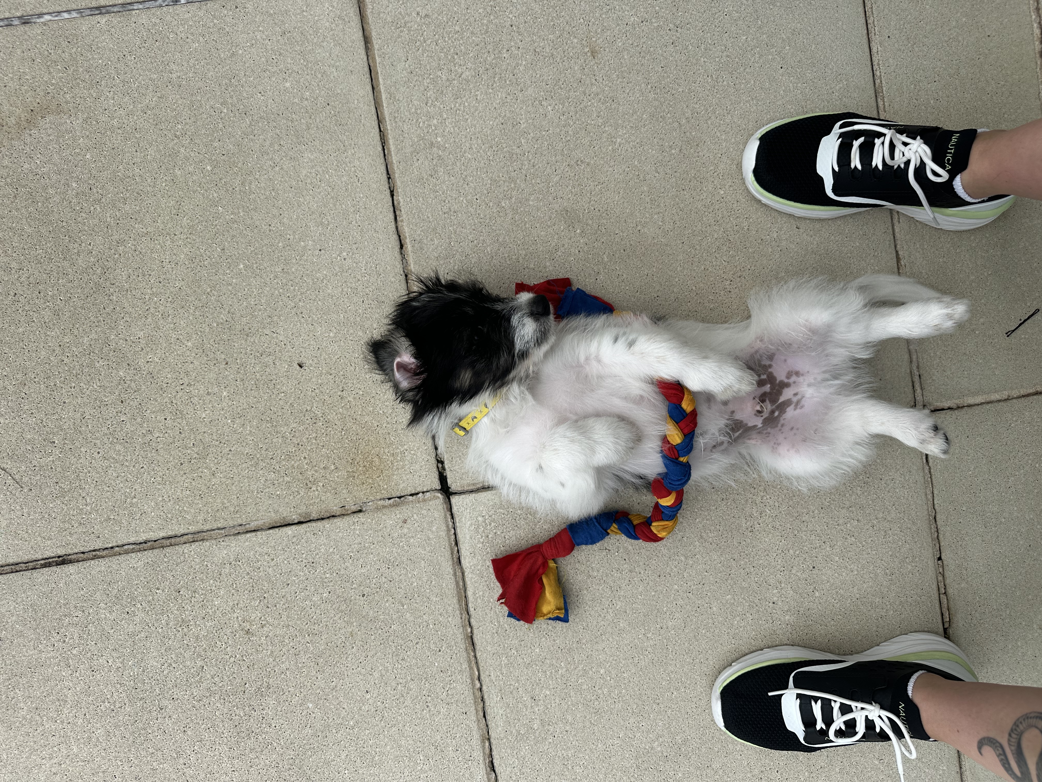 image-9