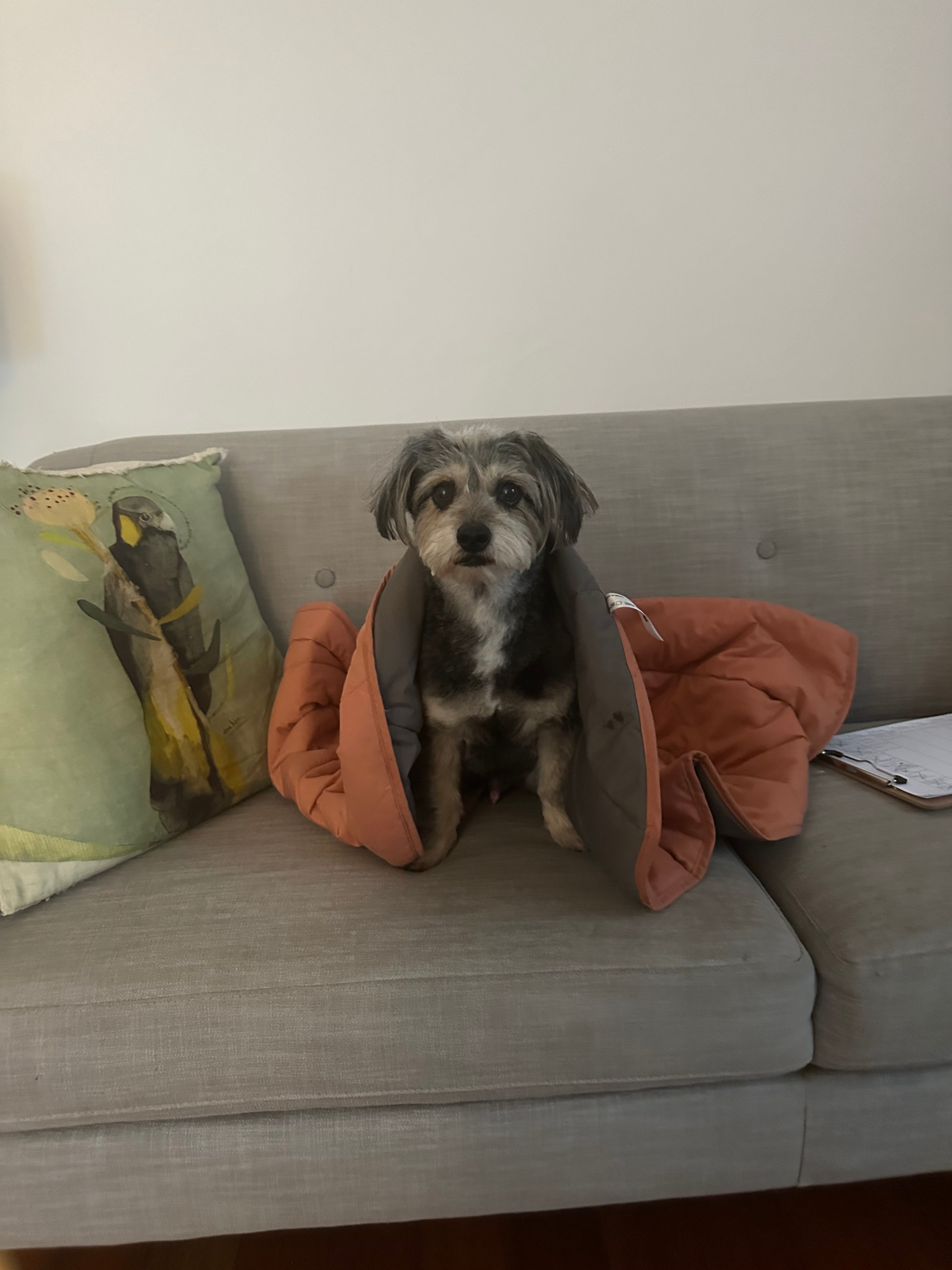 image-7