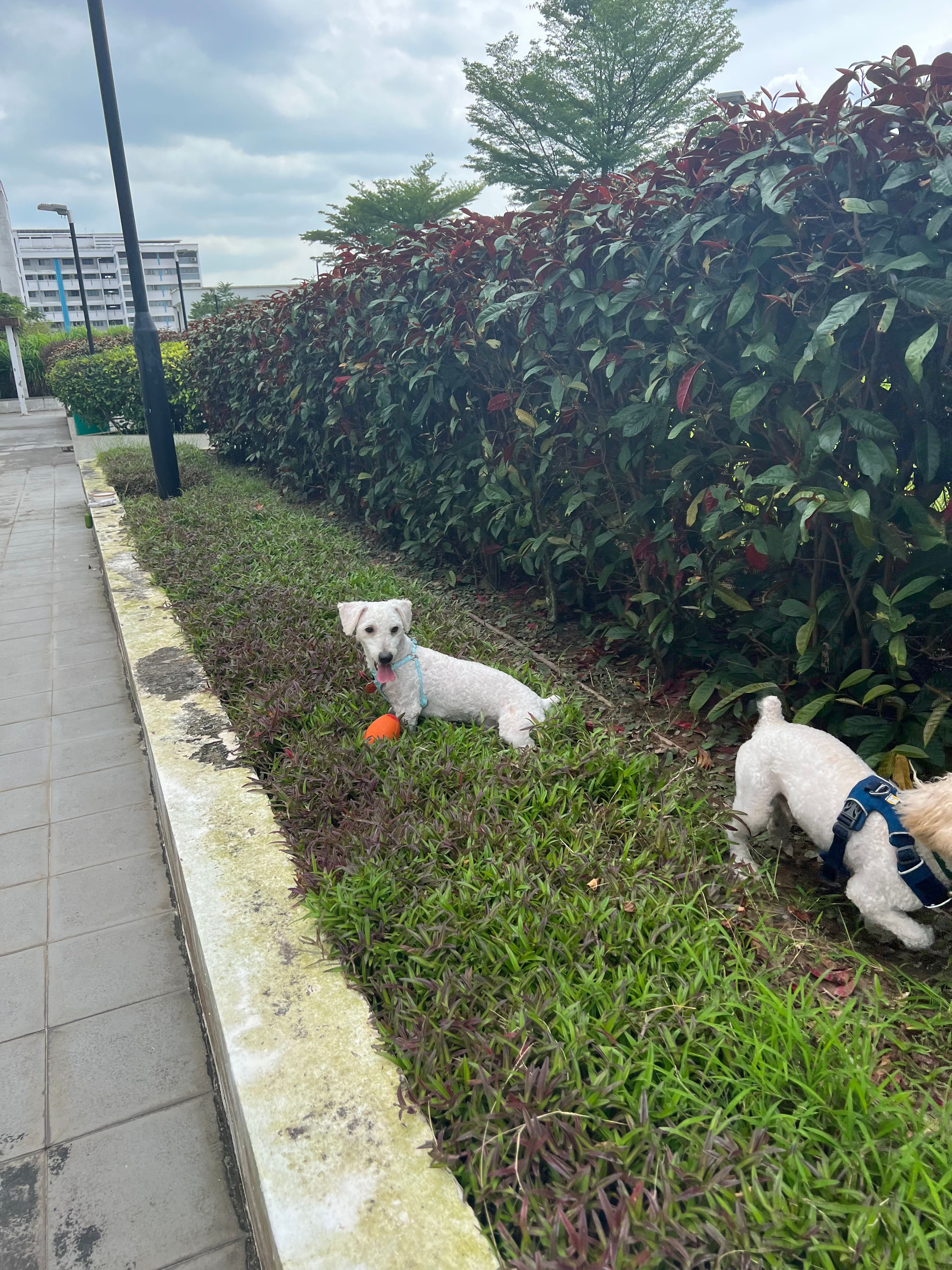 image-9