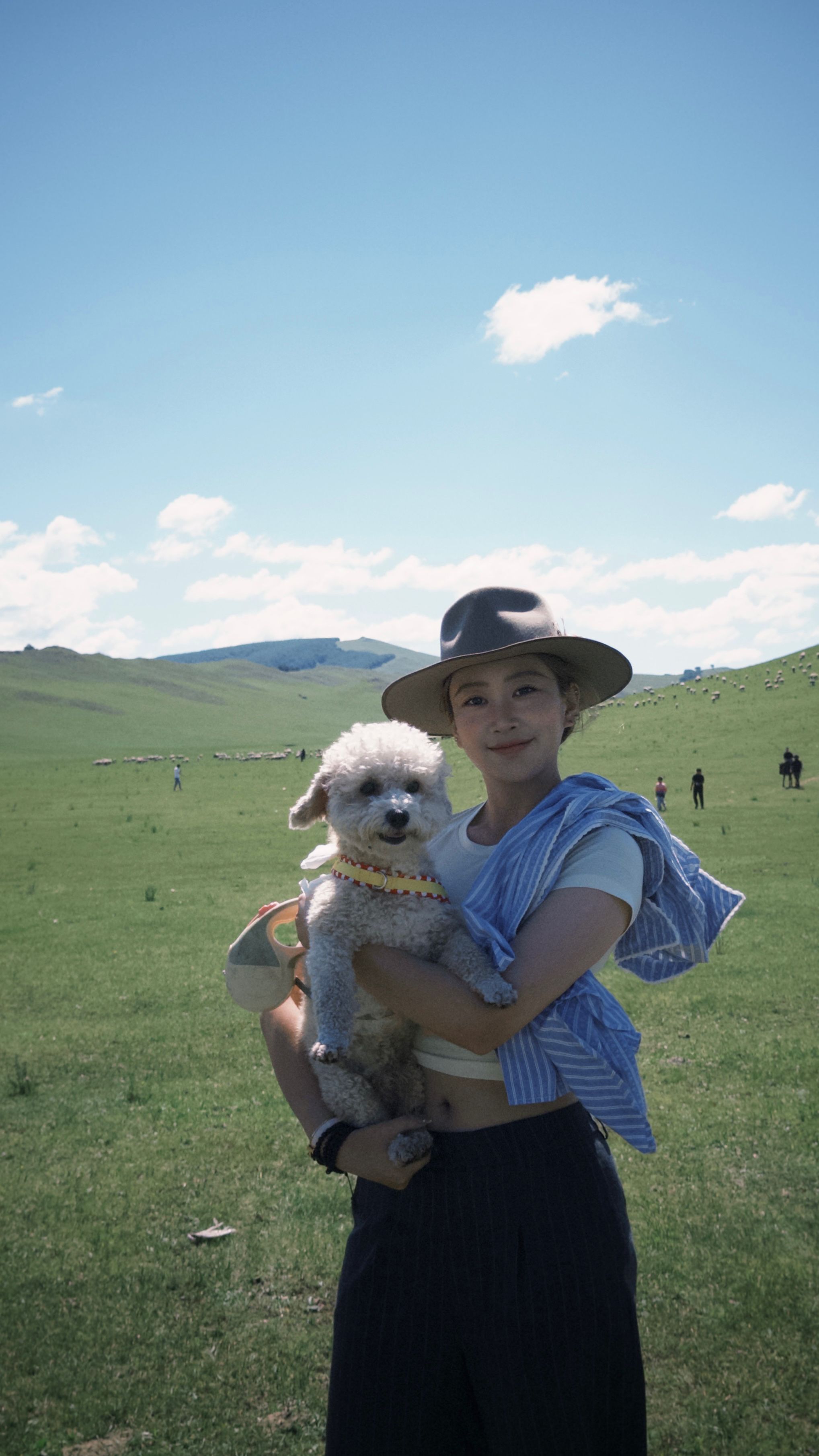 image-8