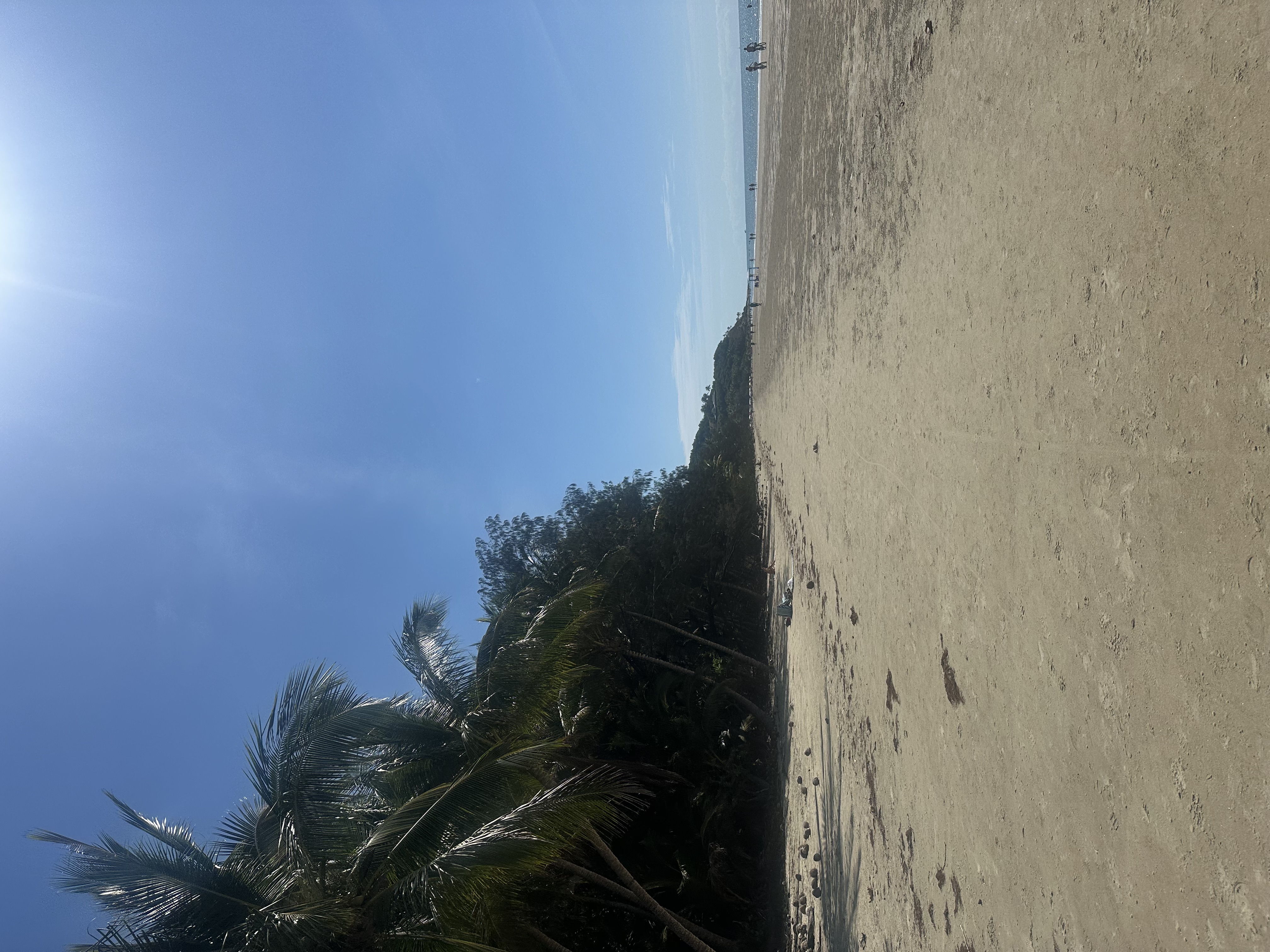 image-14