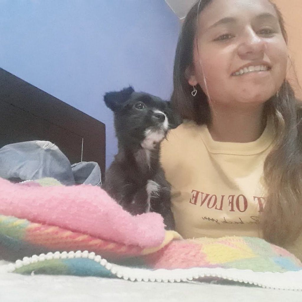 image-9