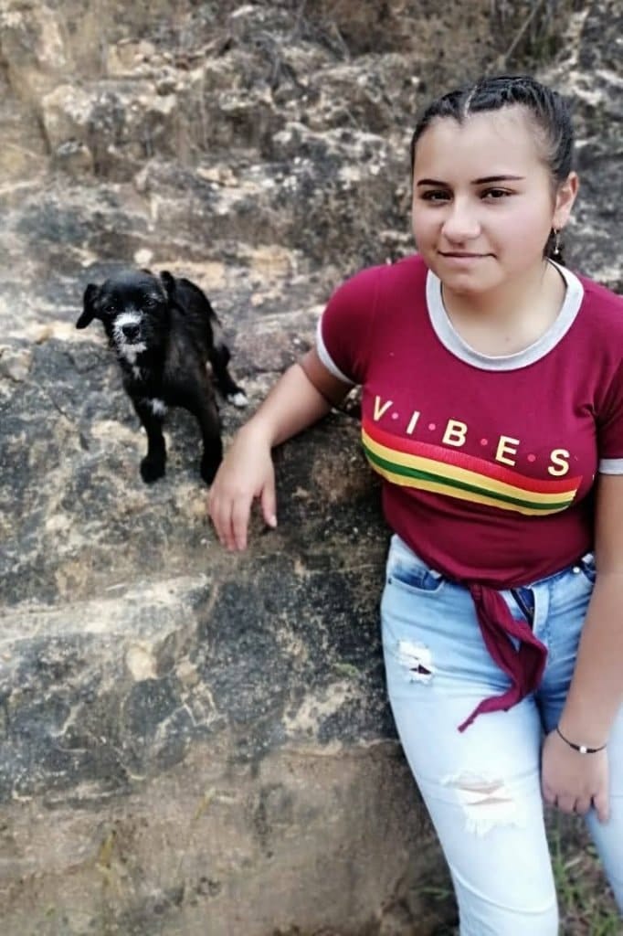 image-15