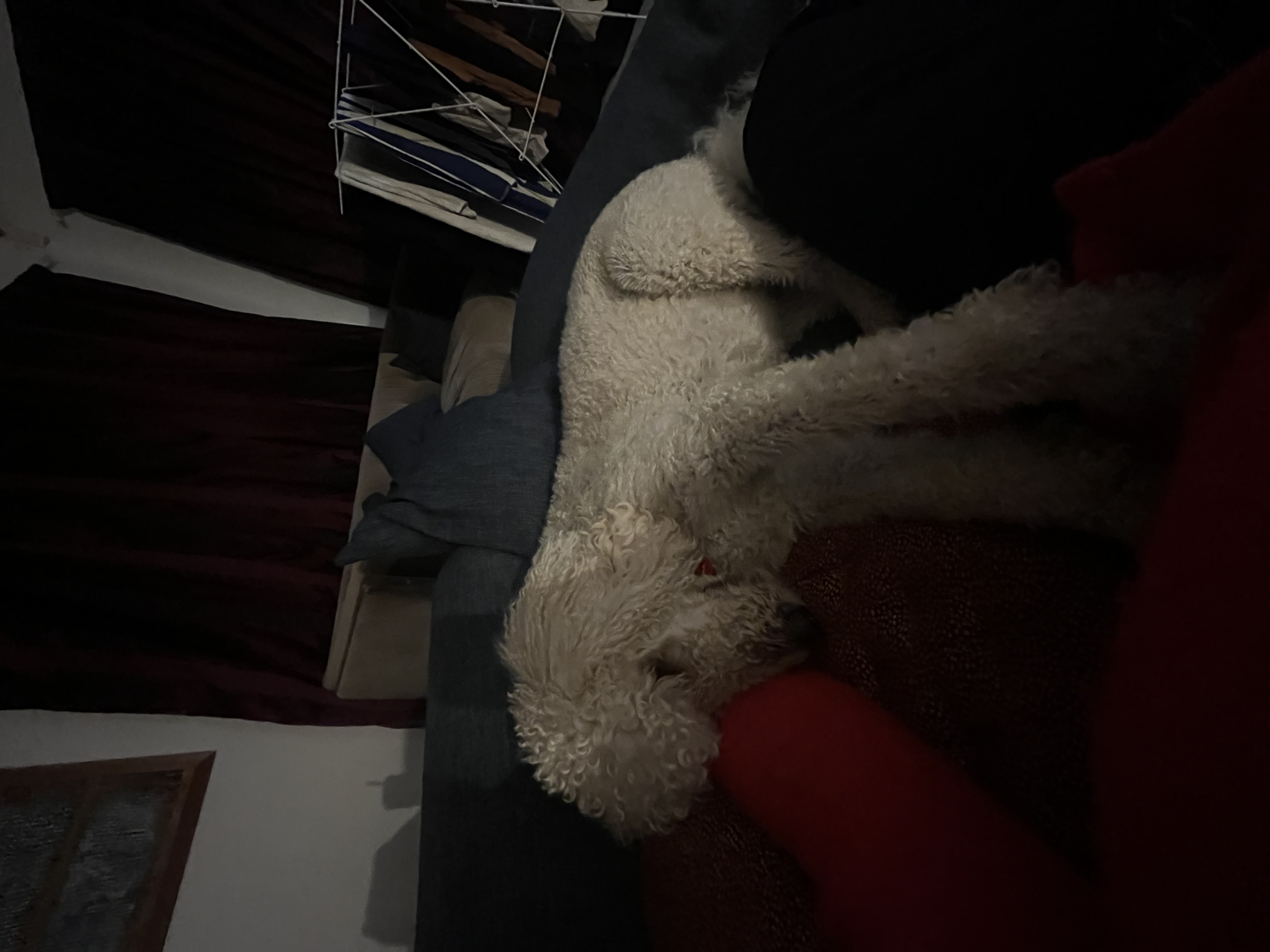 image-7