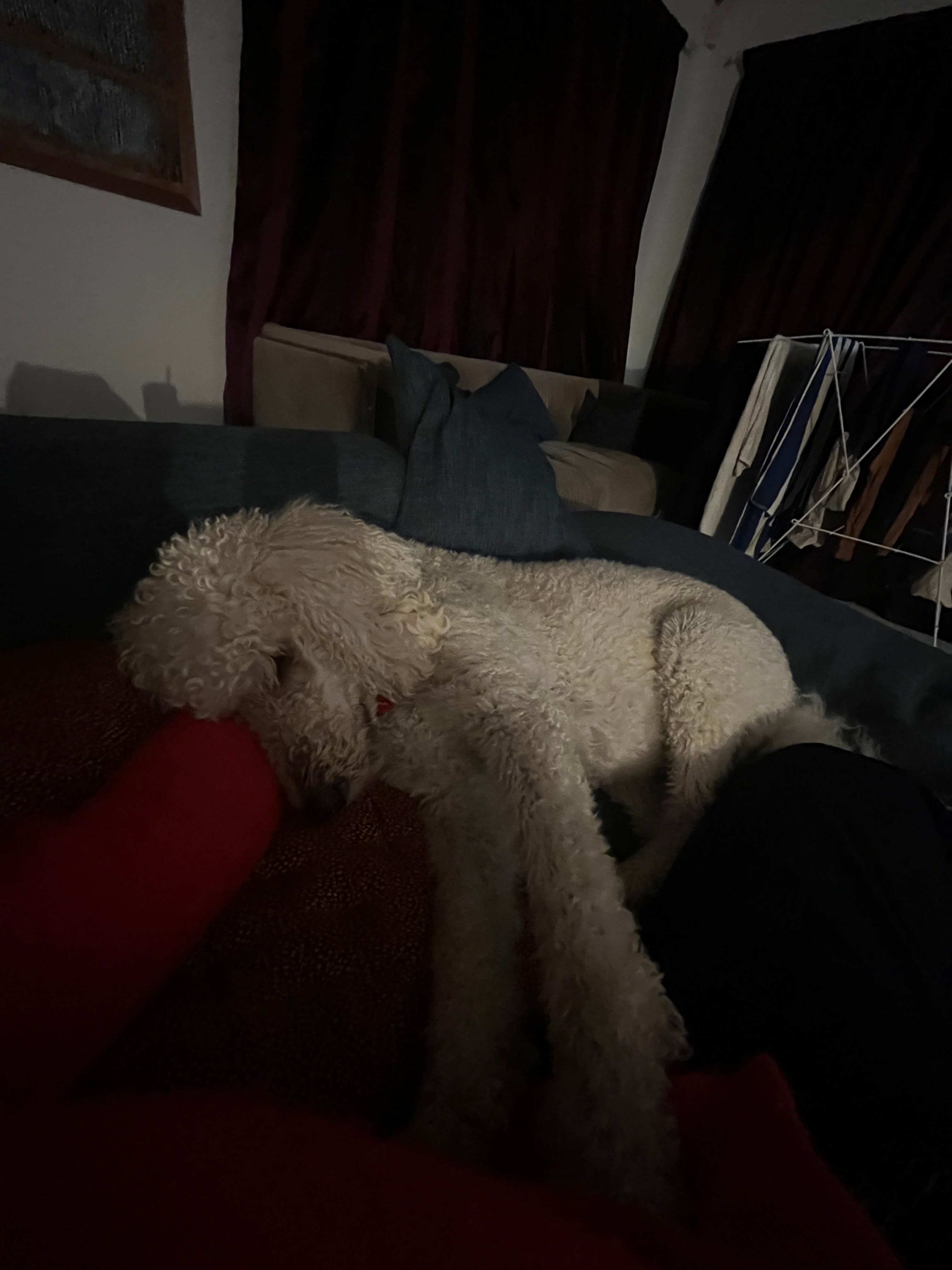 image-7