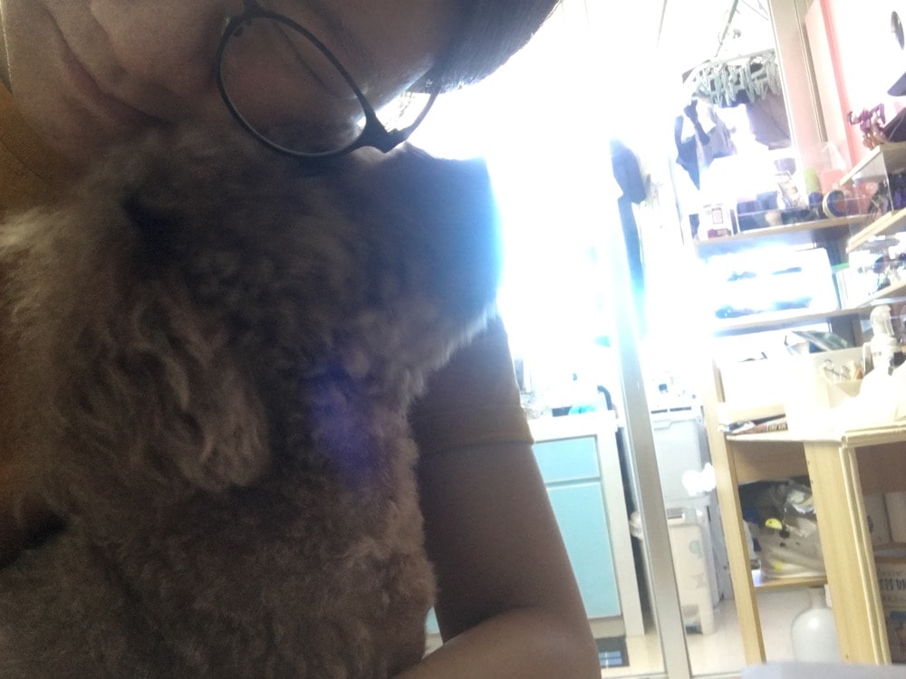 image-4