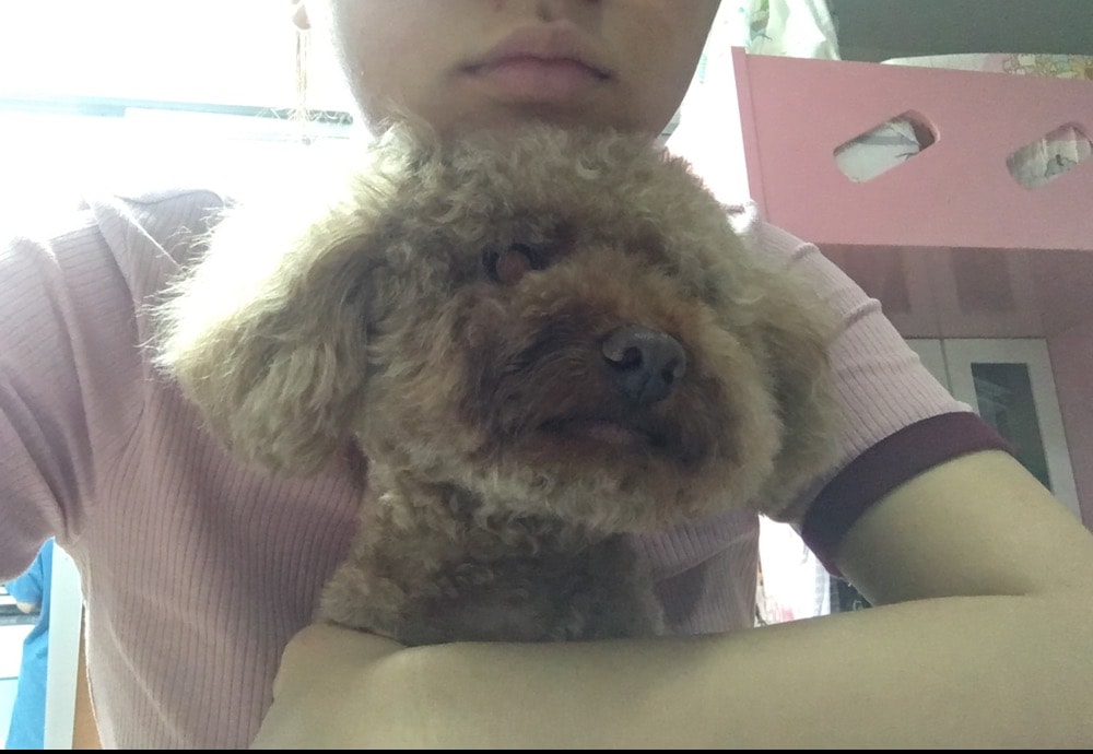image-5