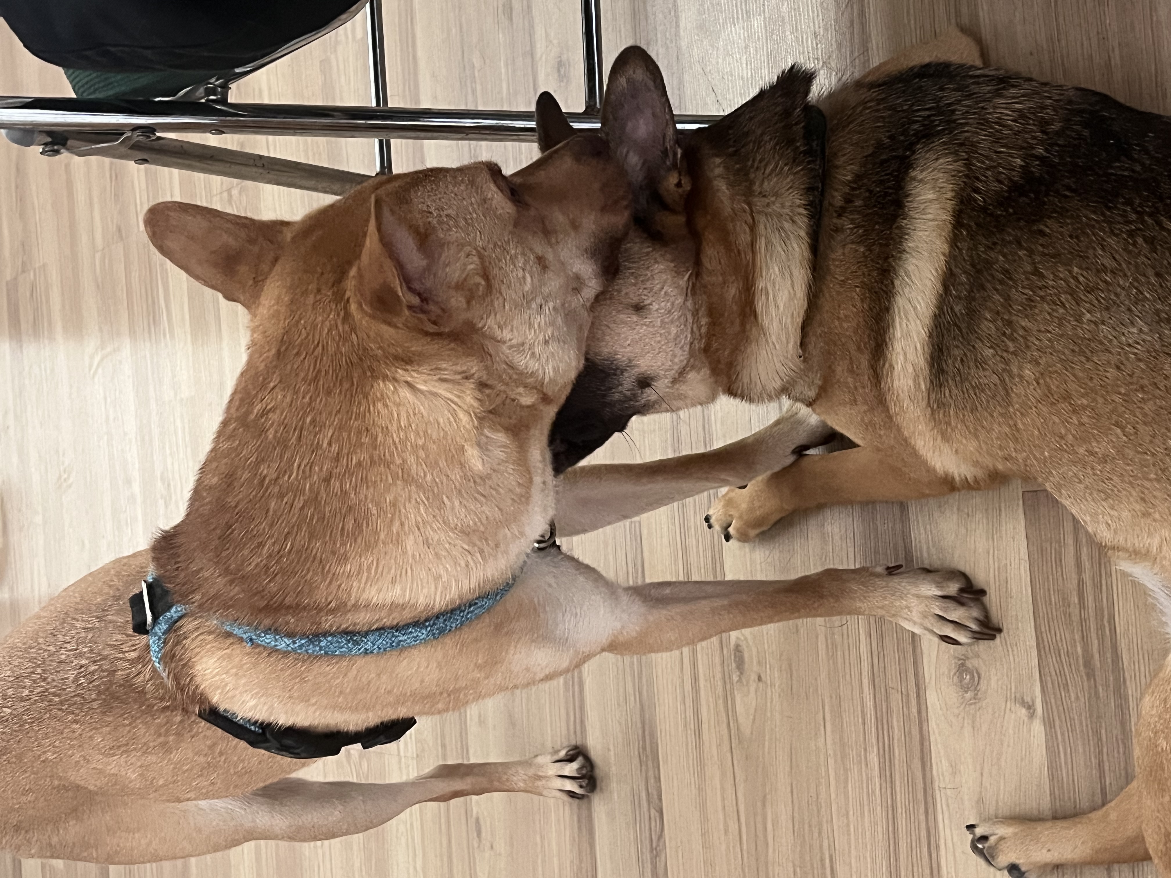 image-6