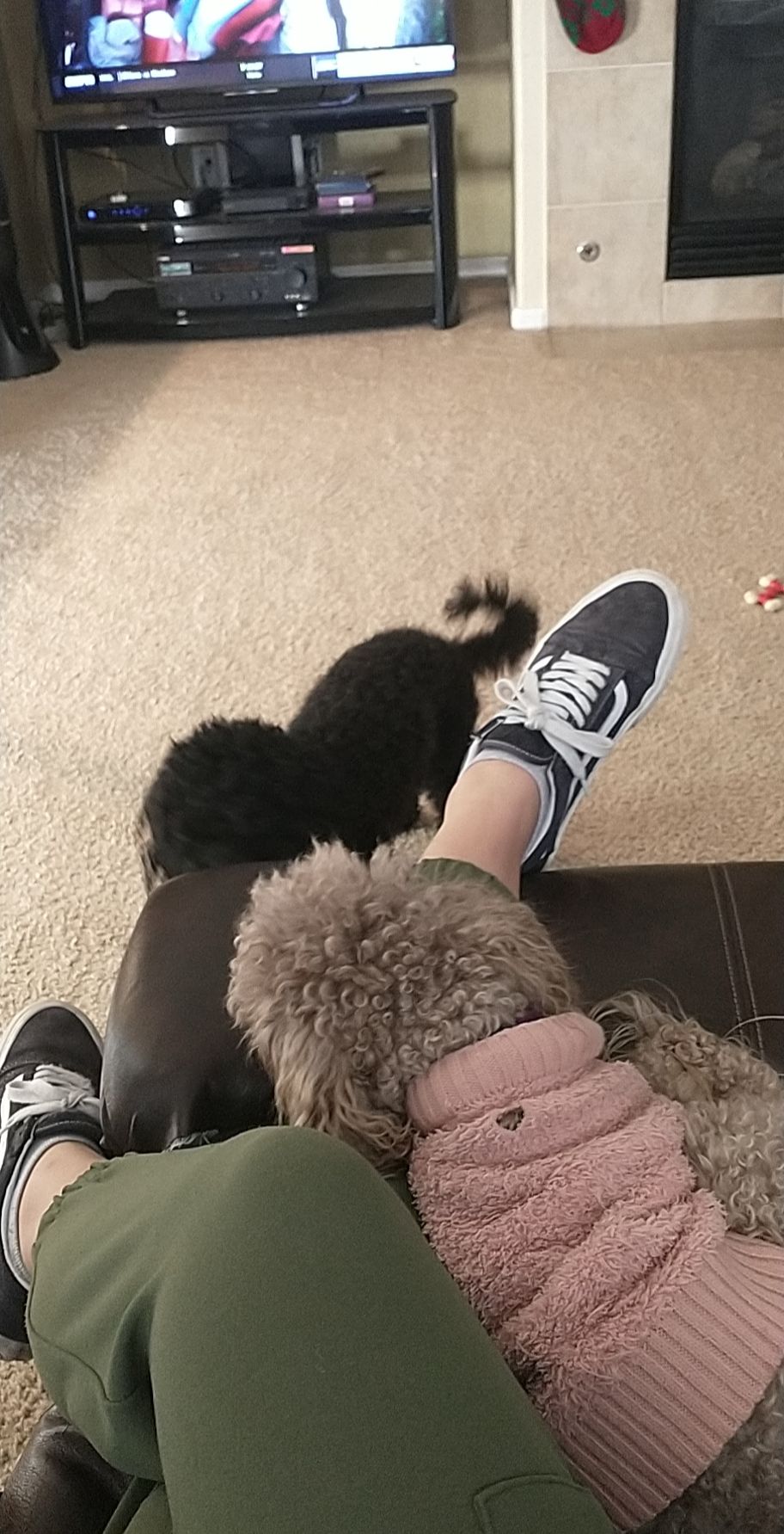 image-6