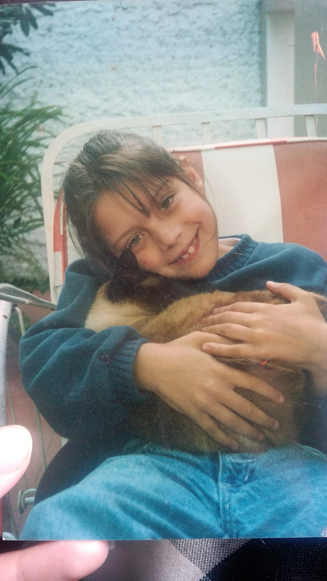 image-2