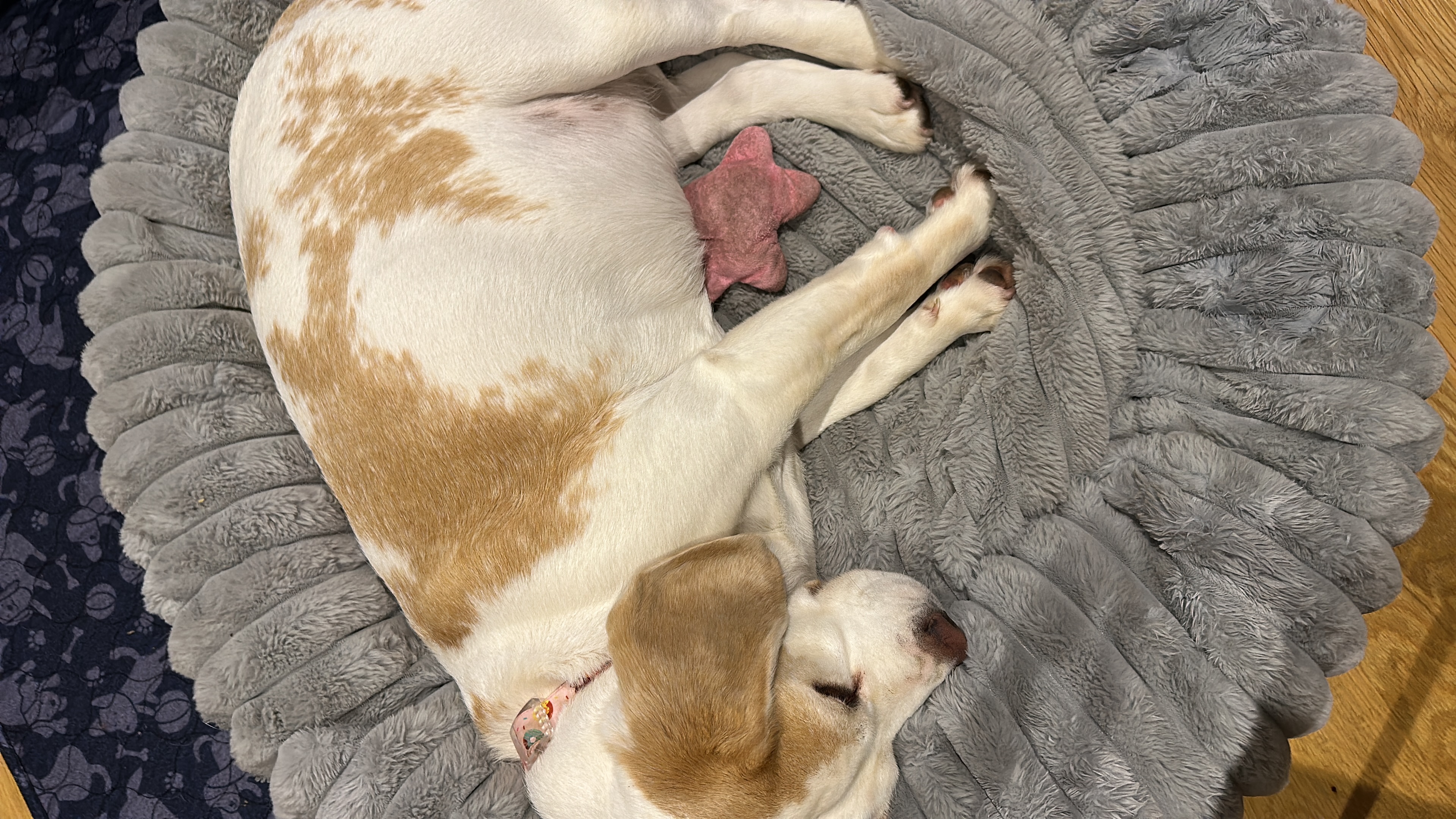 image-29