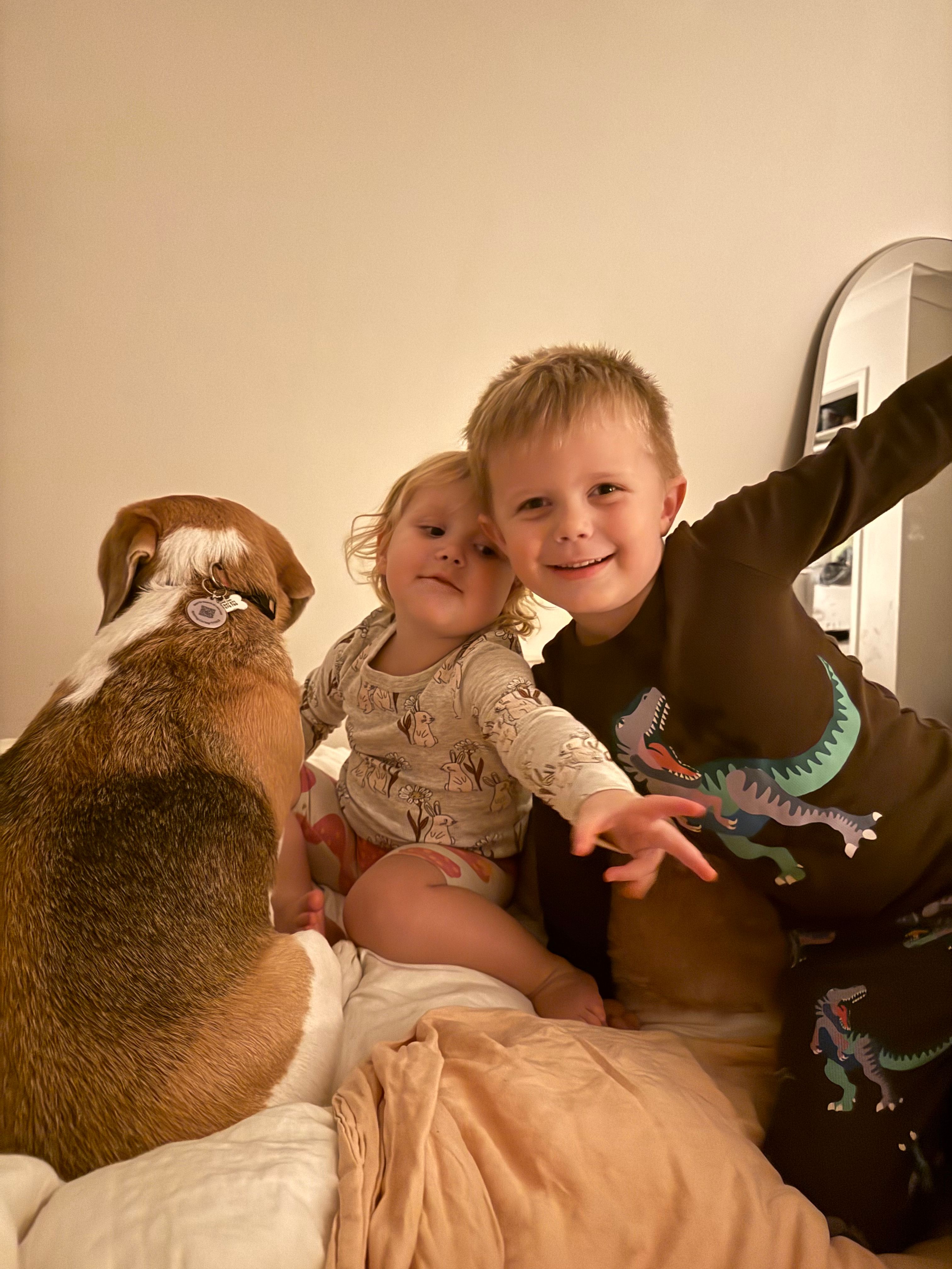image-12