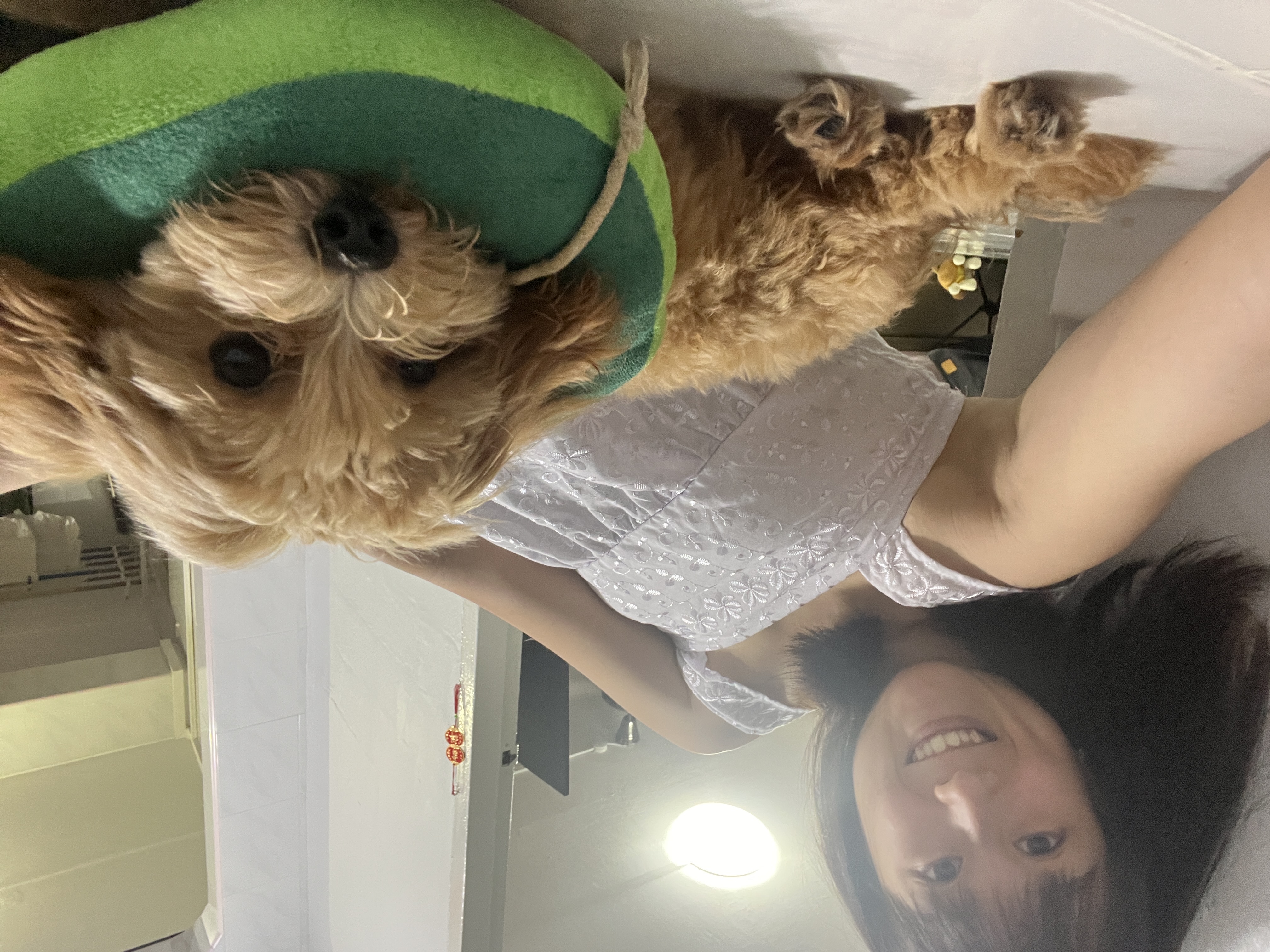 image-3