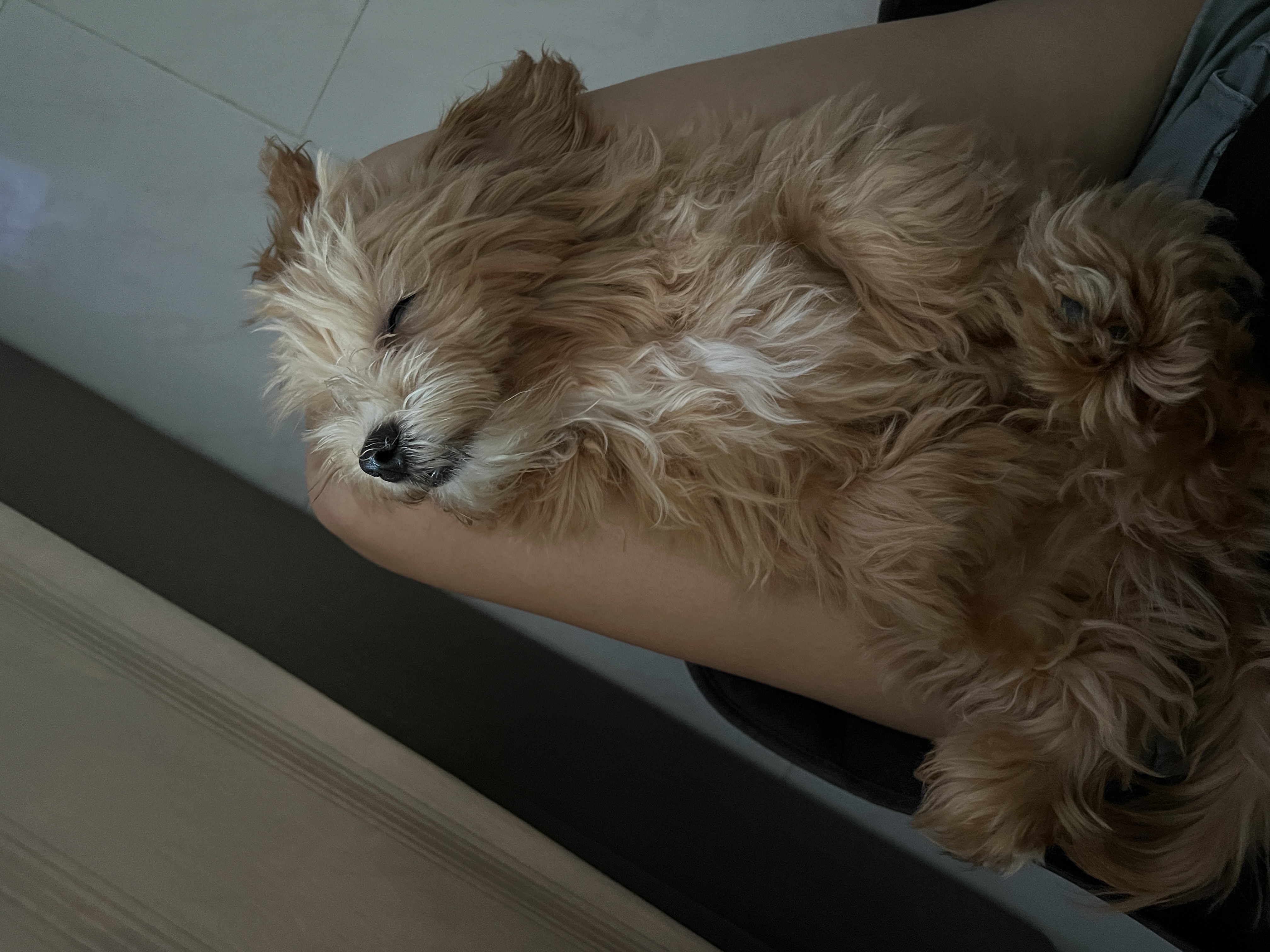 image-9