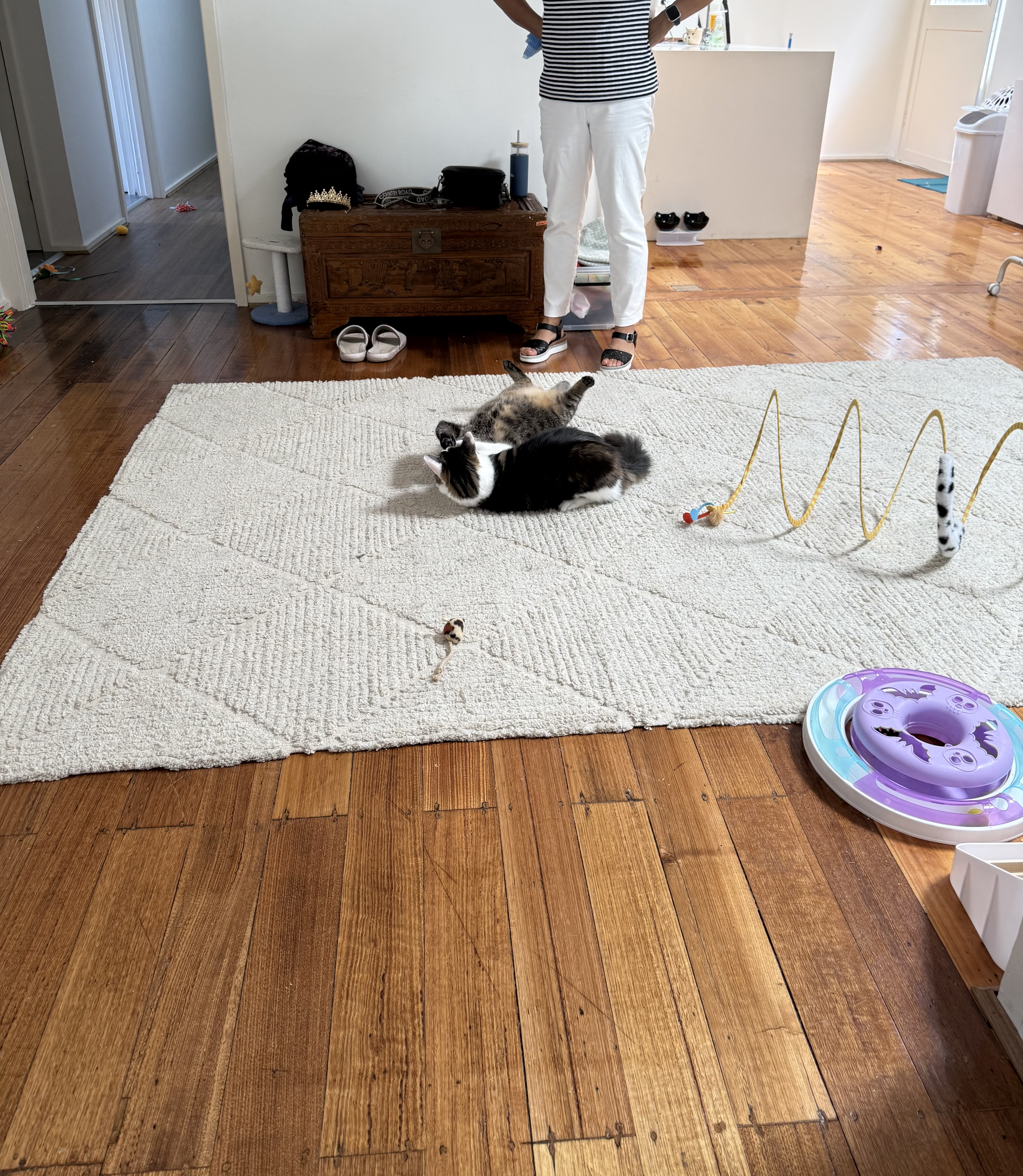 image-9