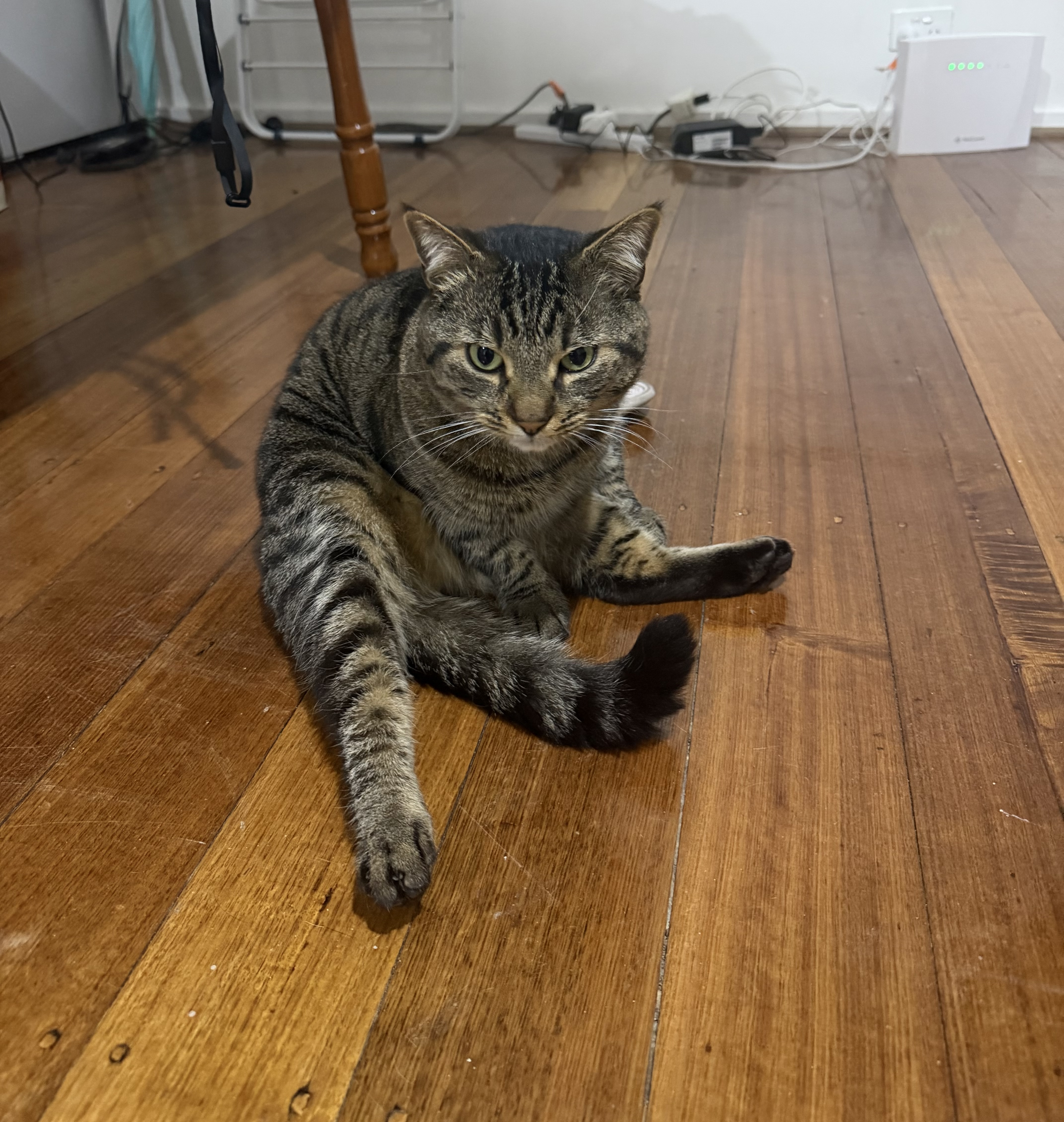 image-16