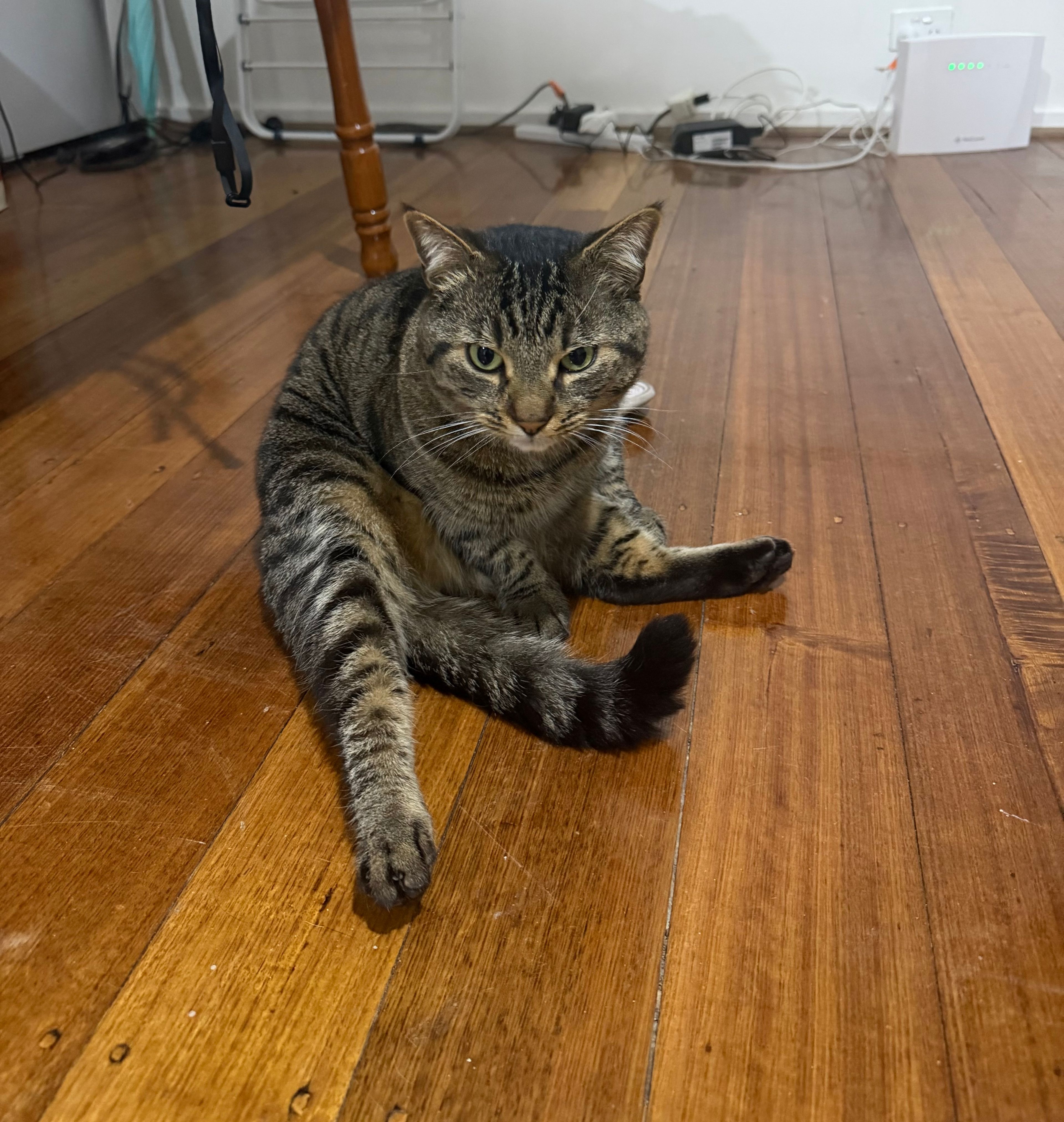 image-16