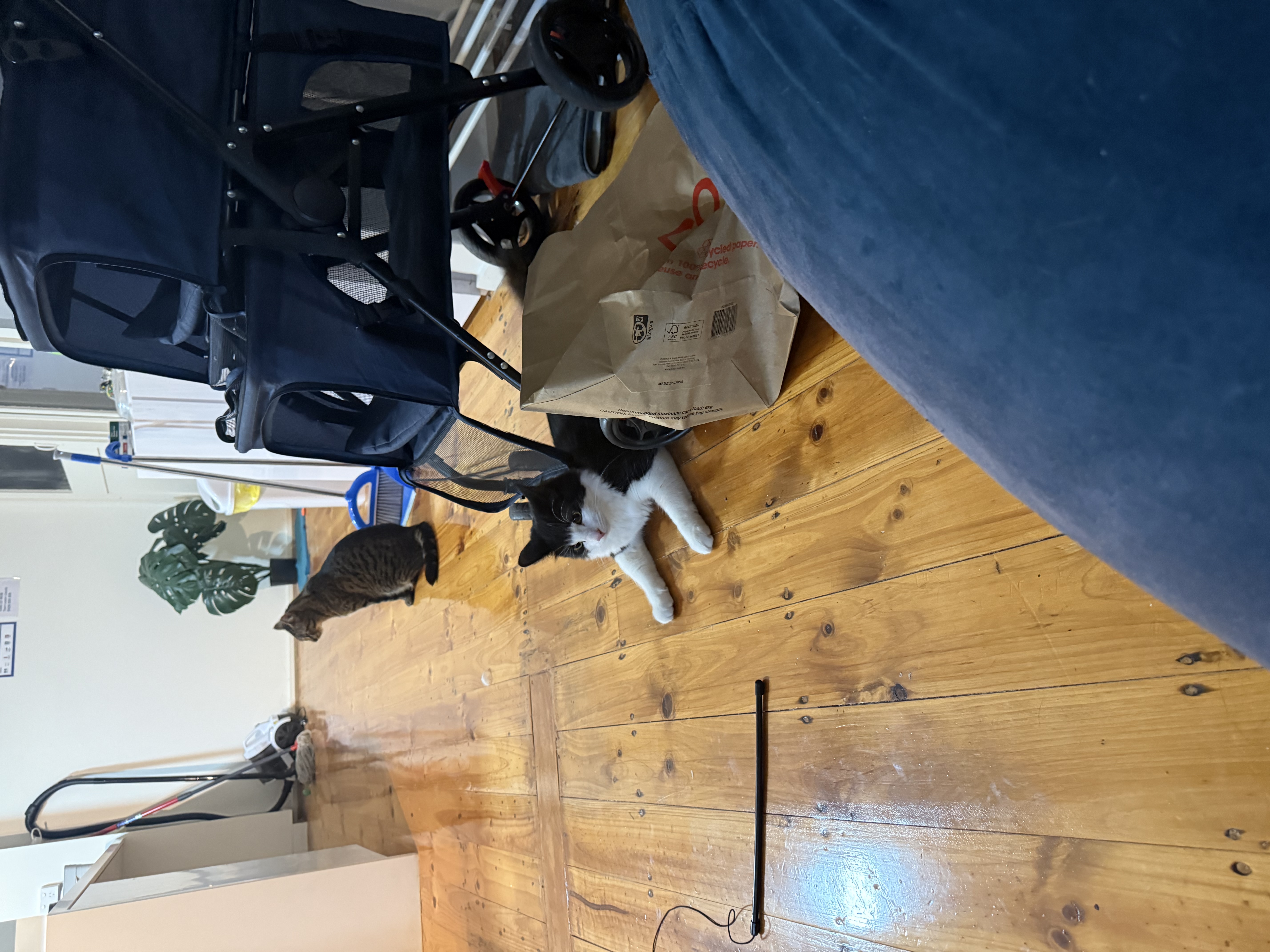 image-15
