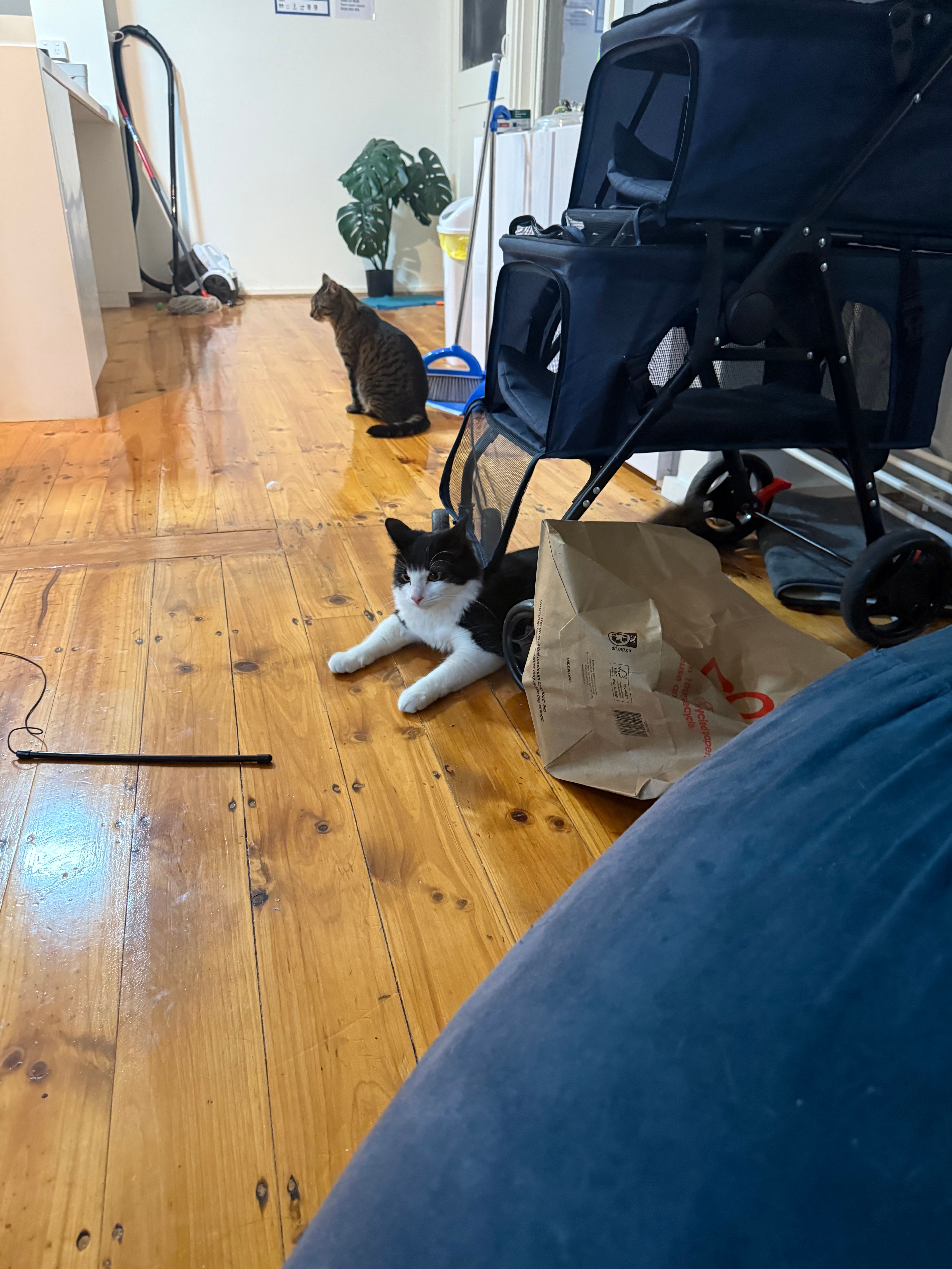 image-15