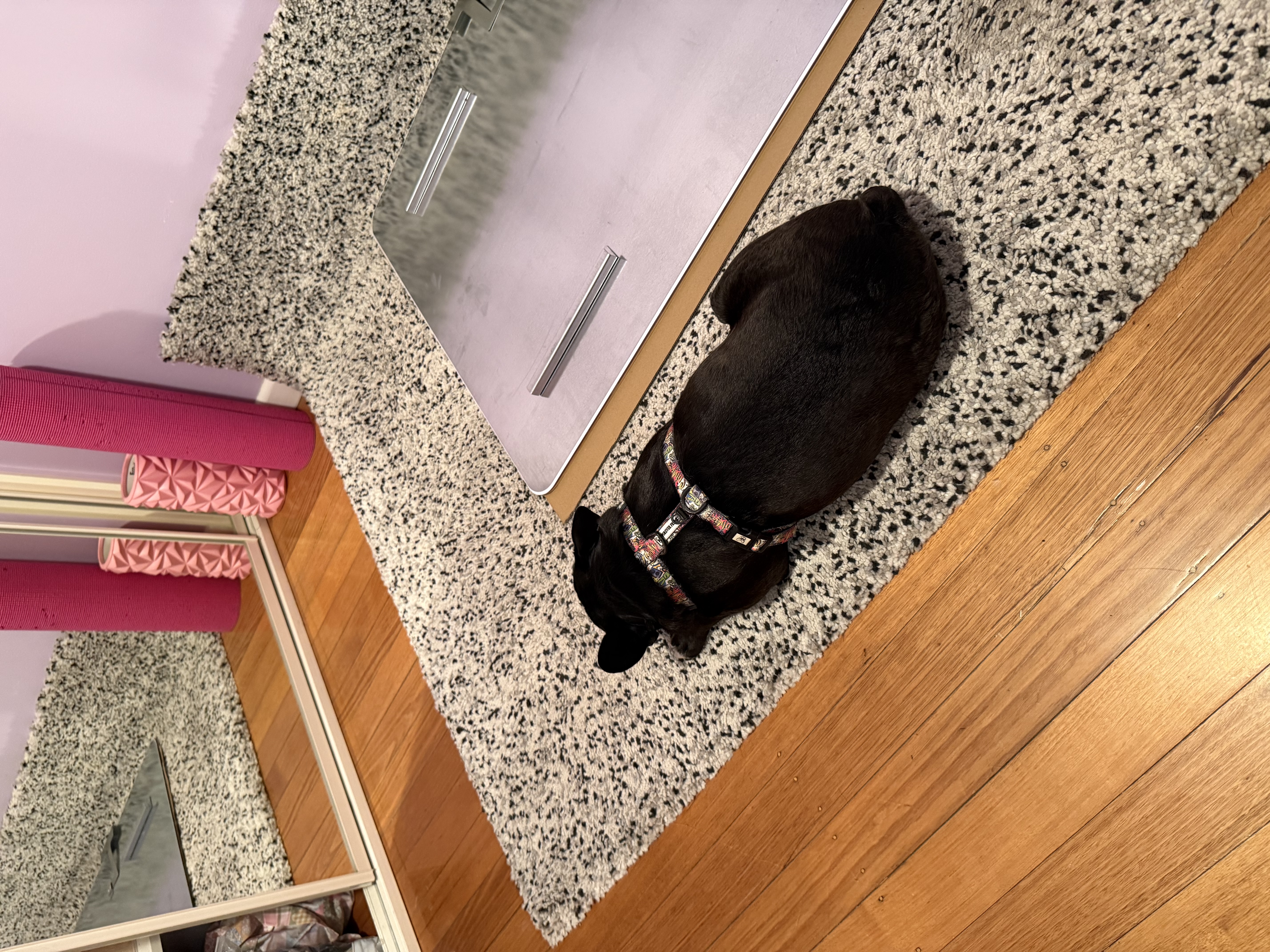 image-11