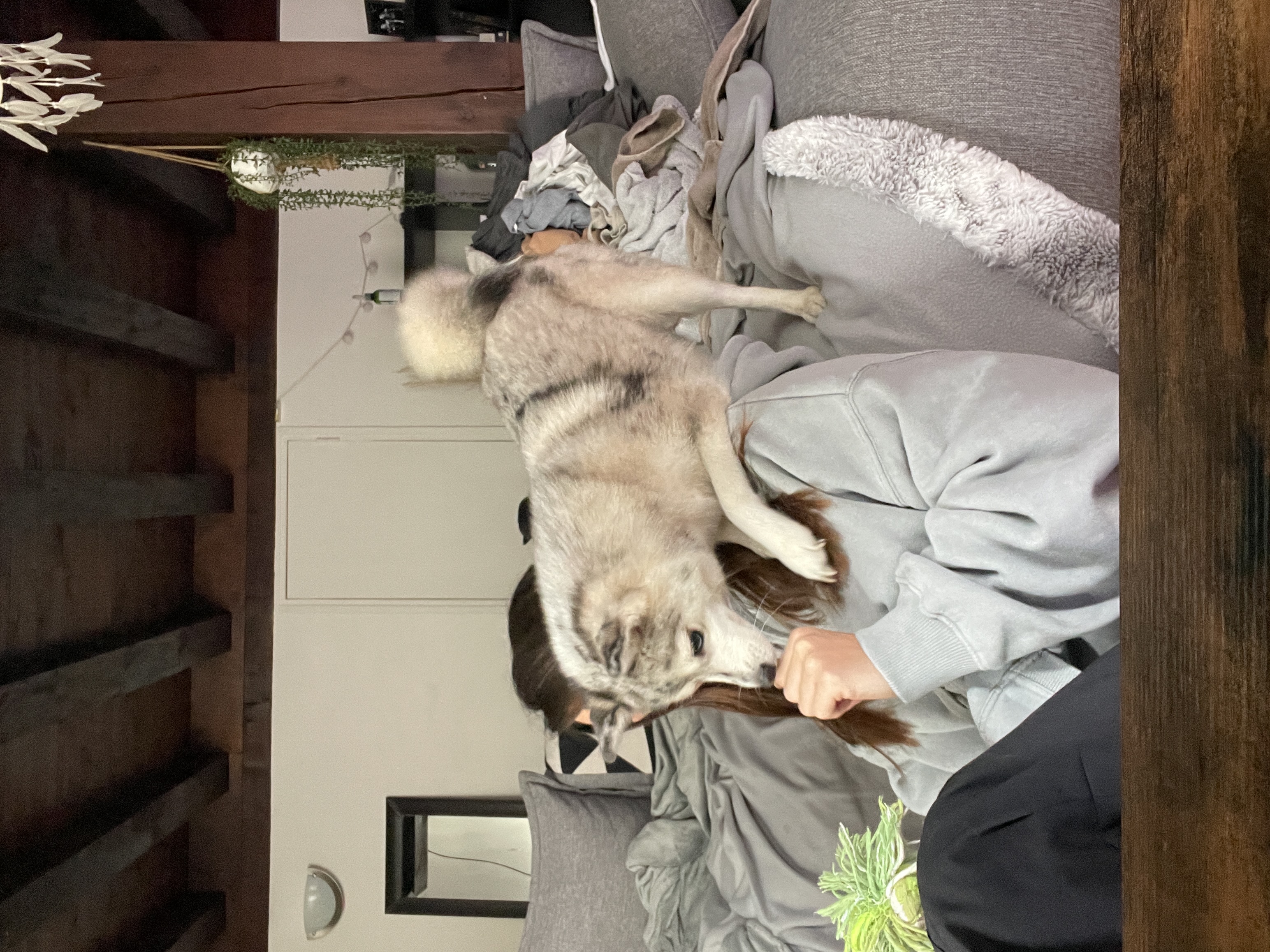 image-4