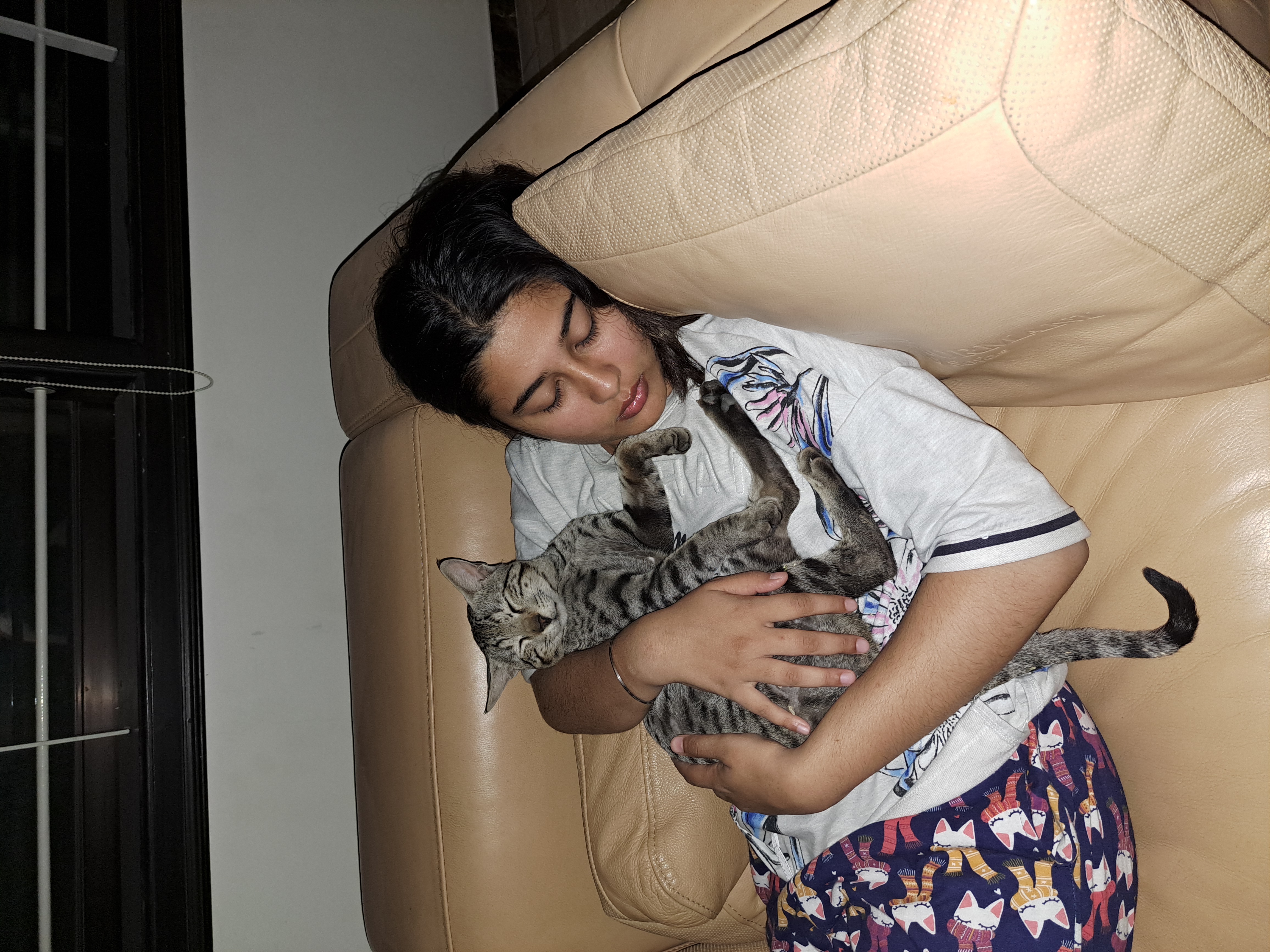 image-8