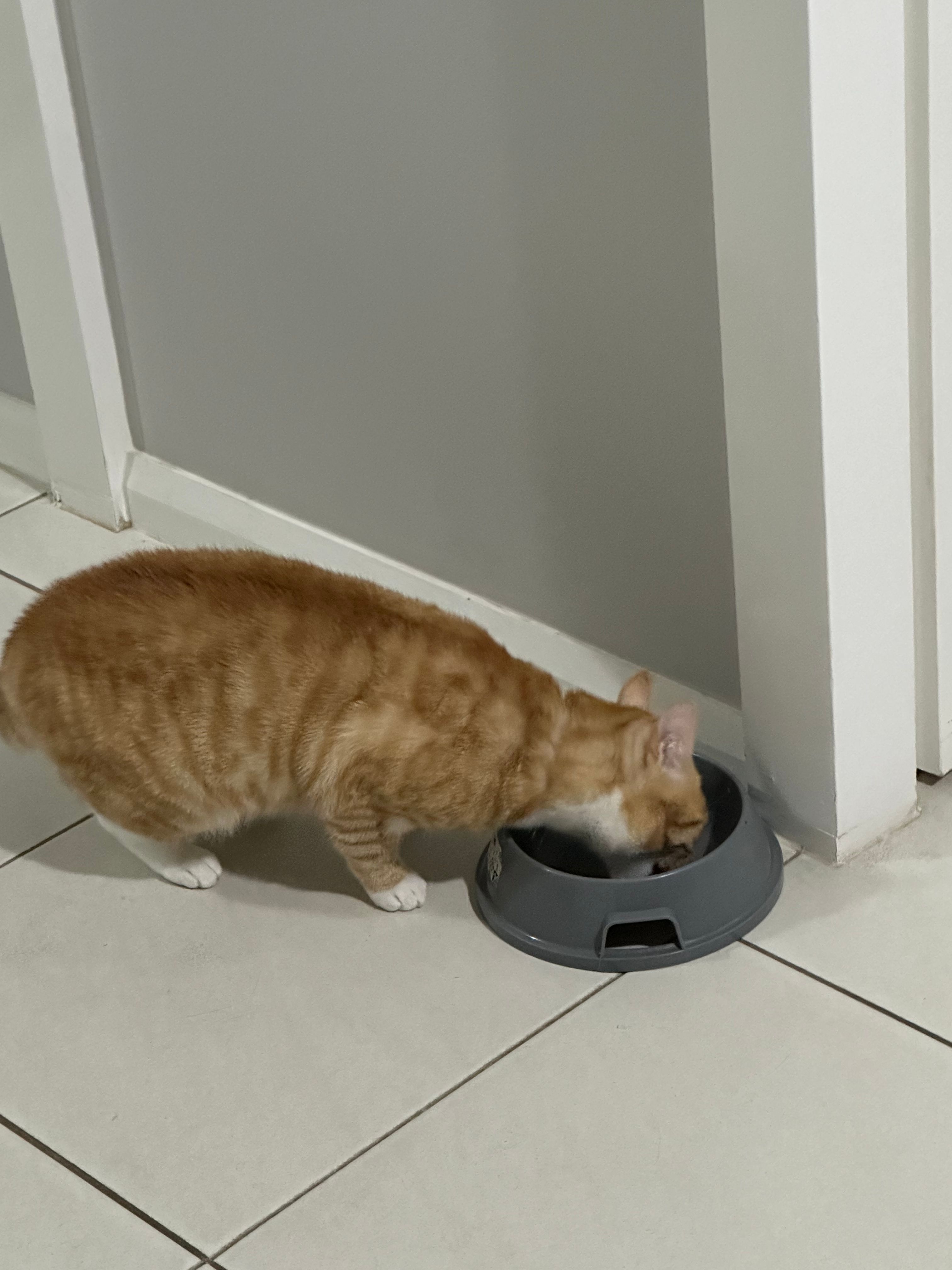 image-19