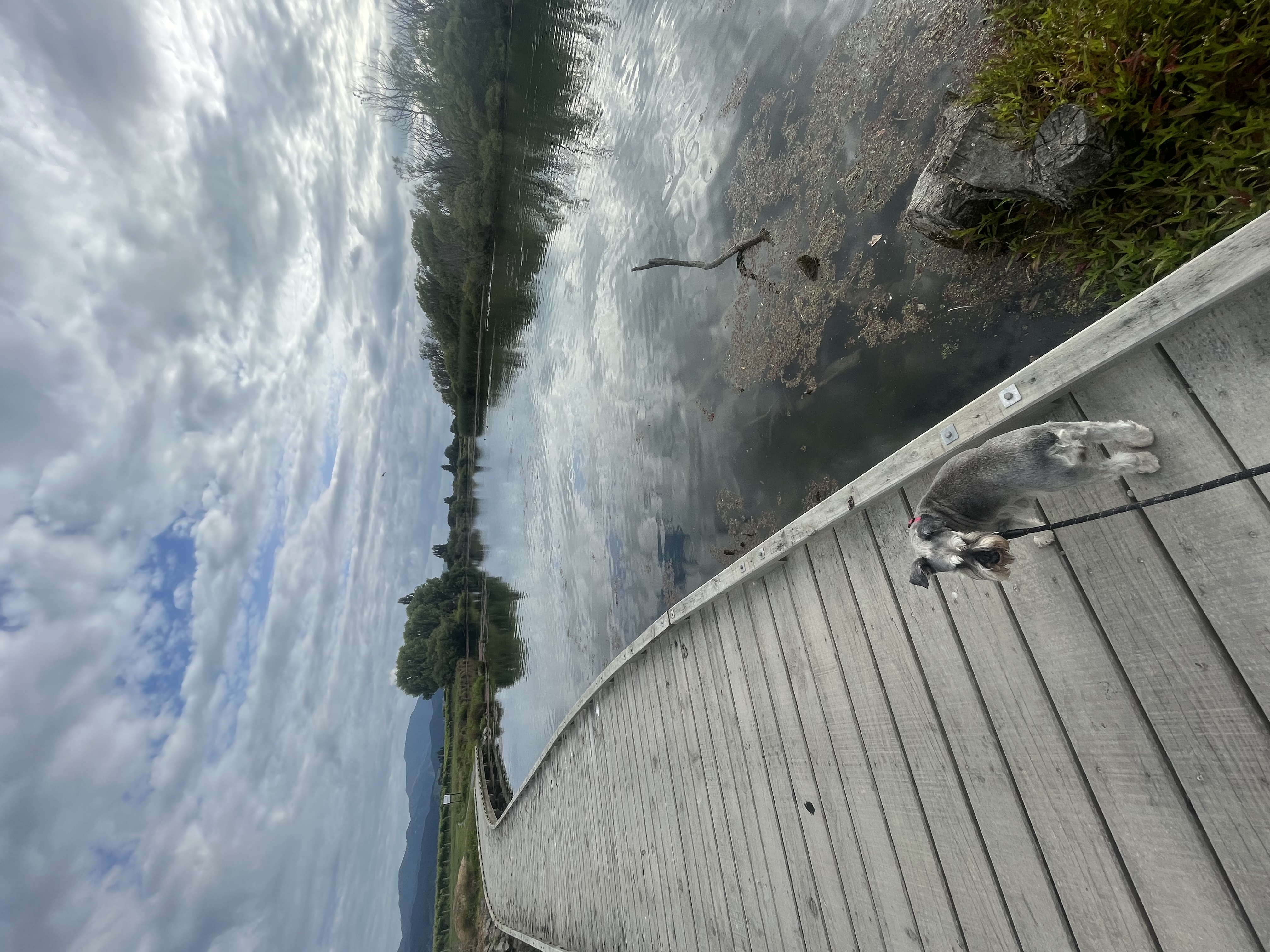 image-0