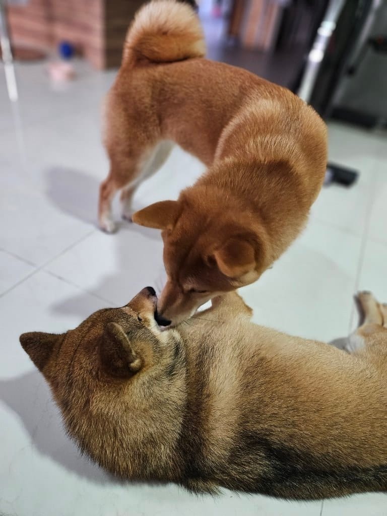 image-35