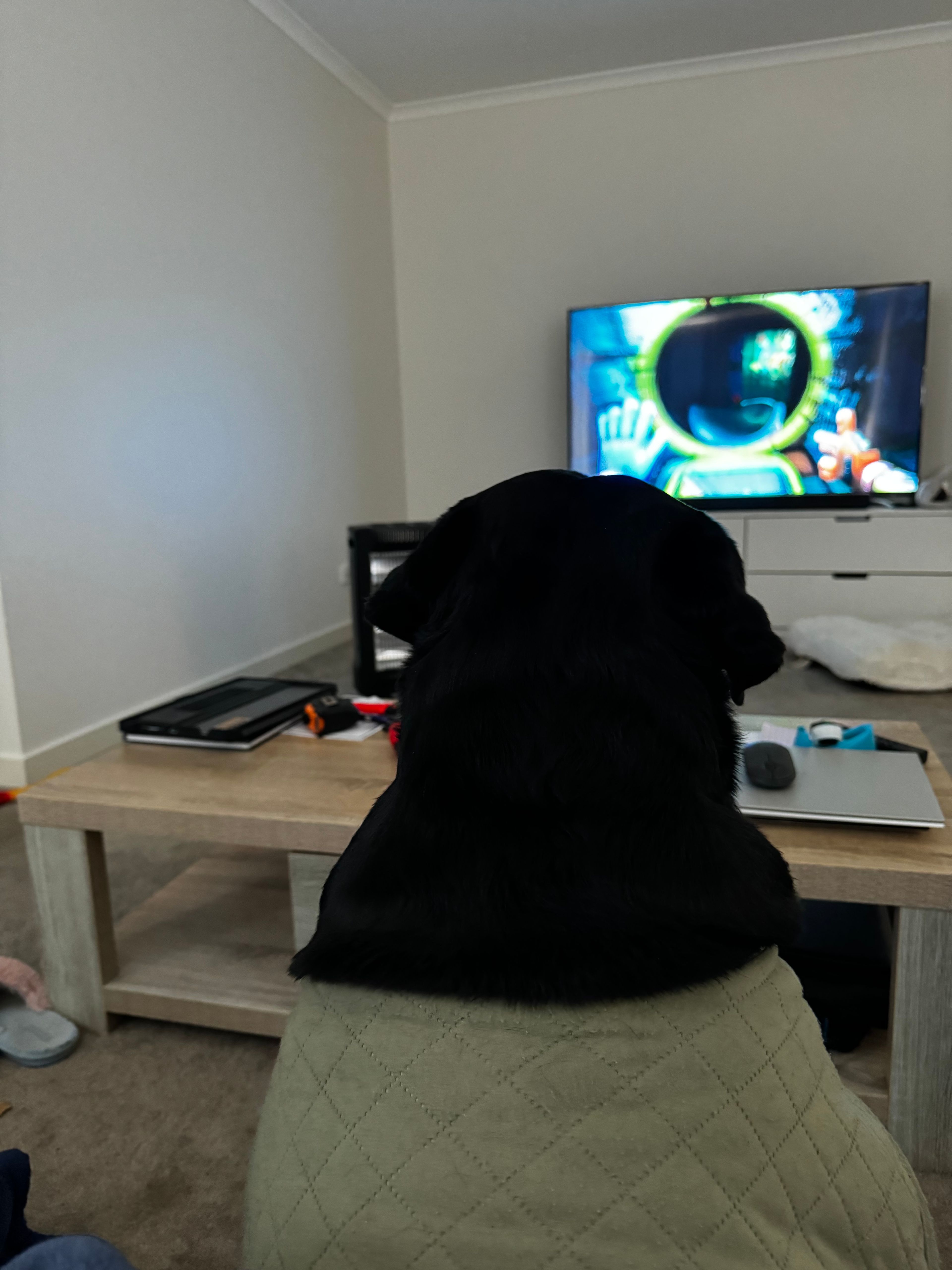 image-7