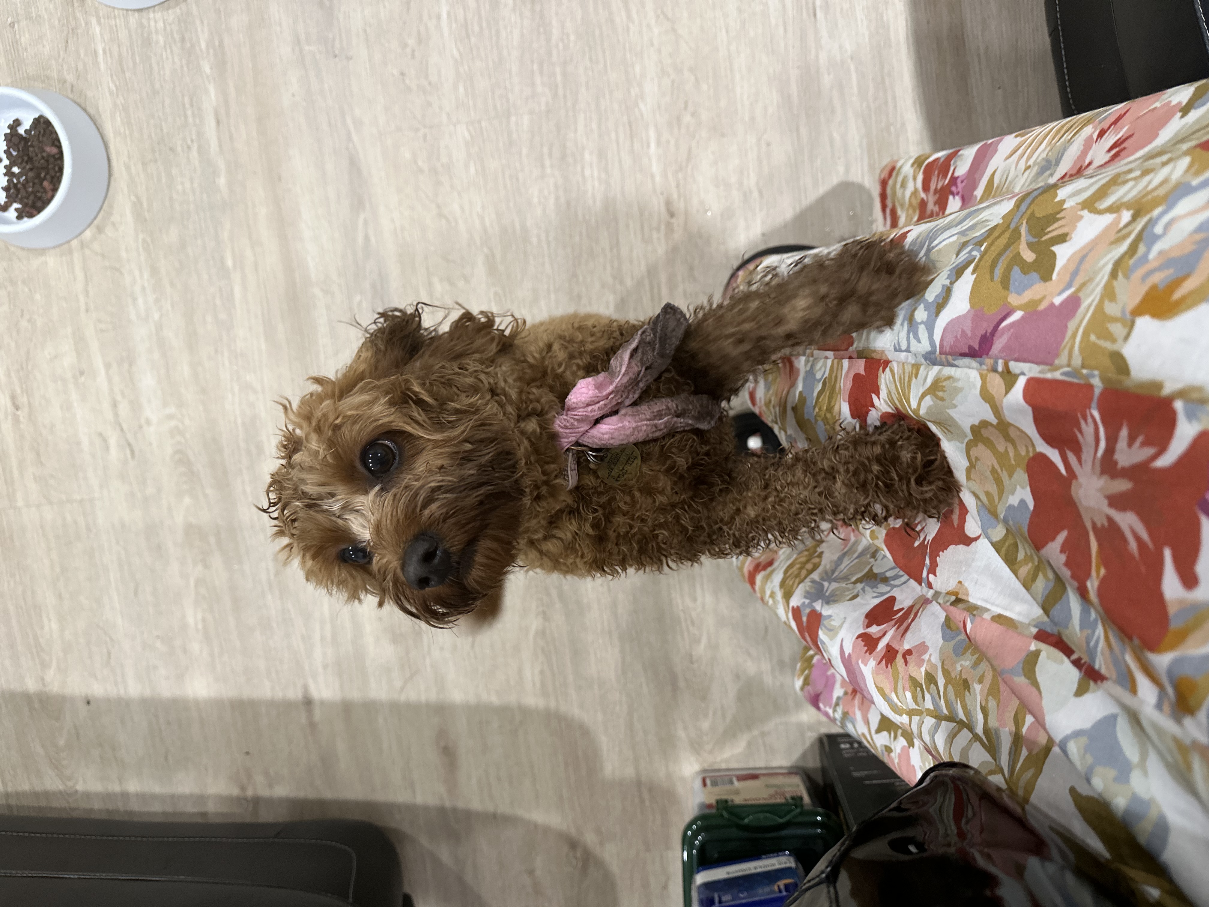 image-8