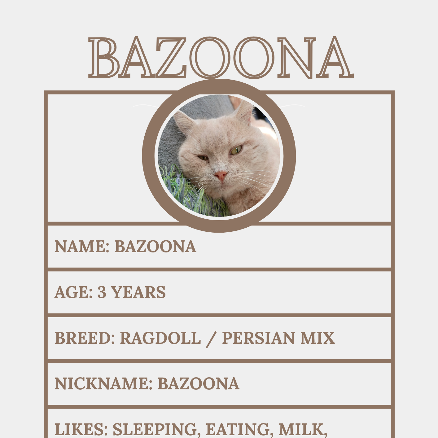 Bazoona