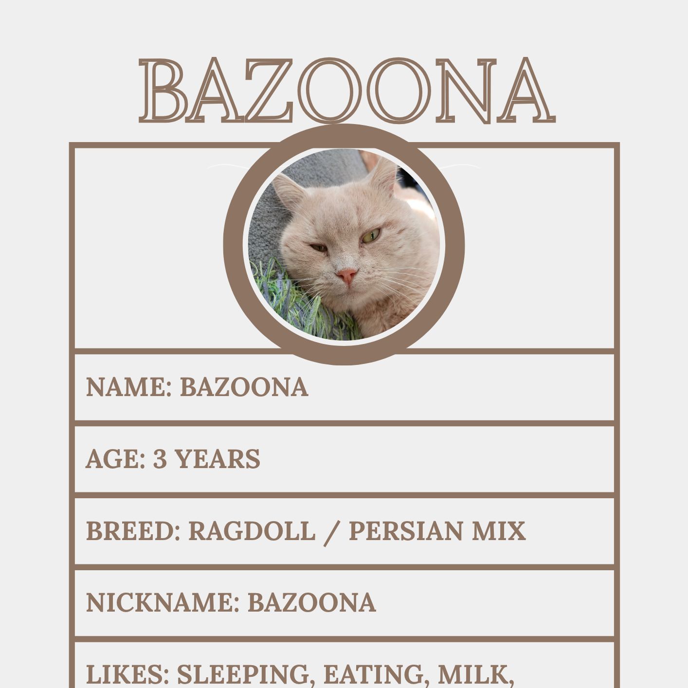 Bazoona