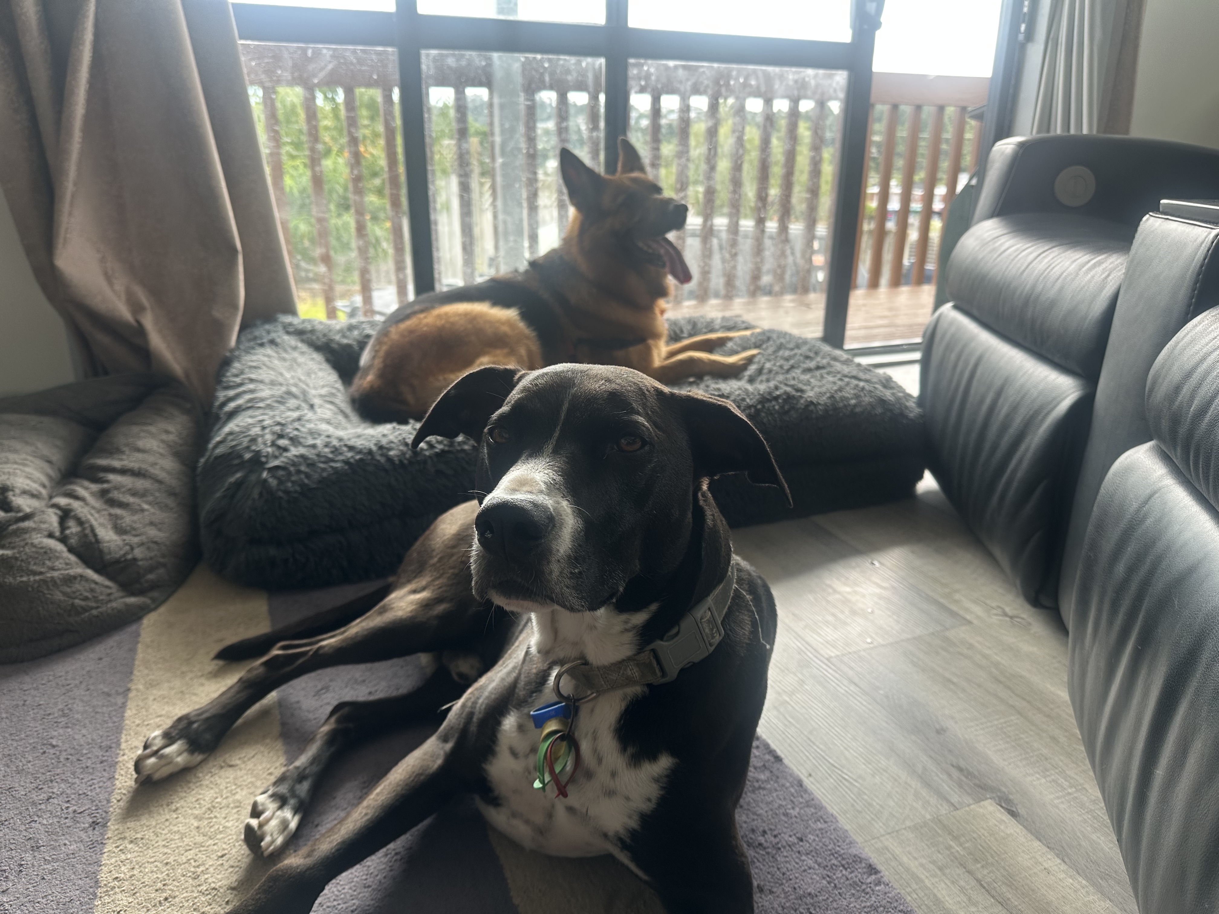 image-22