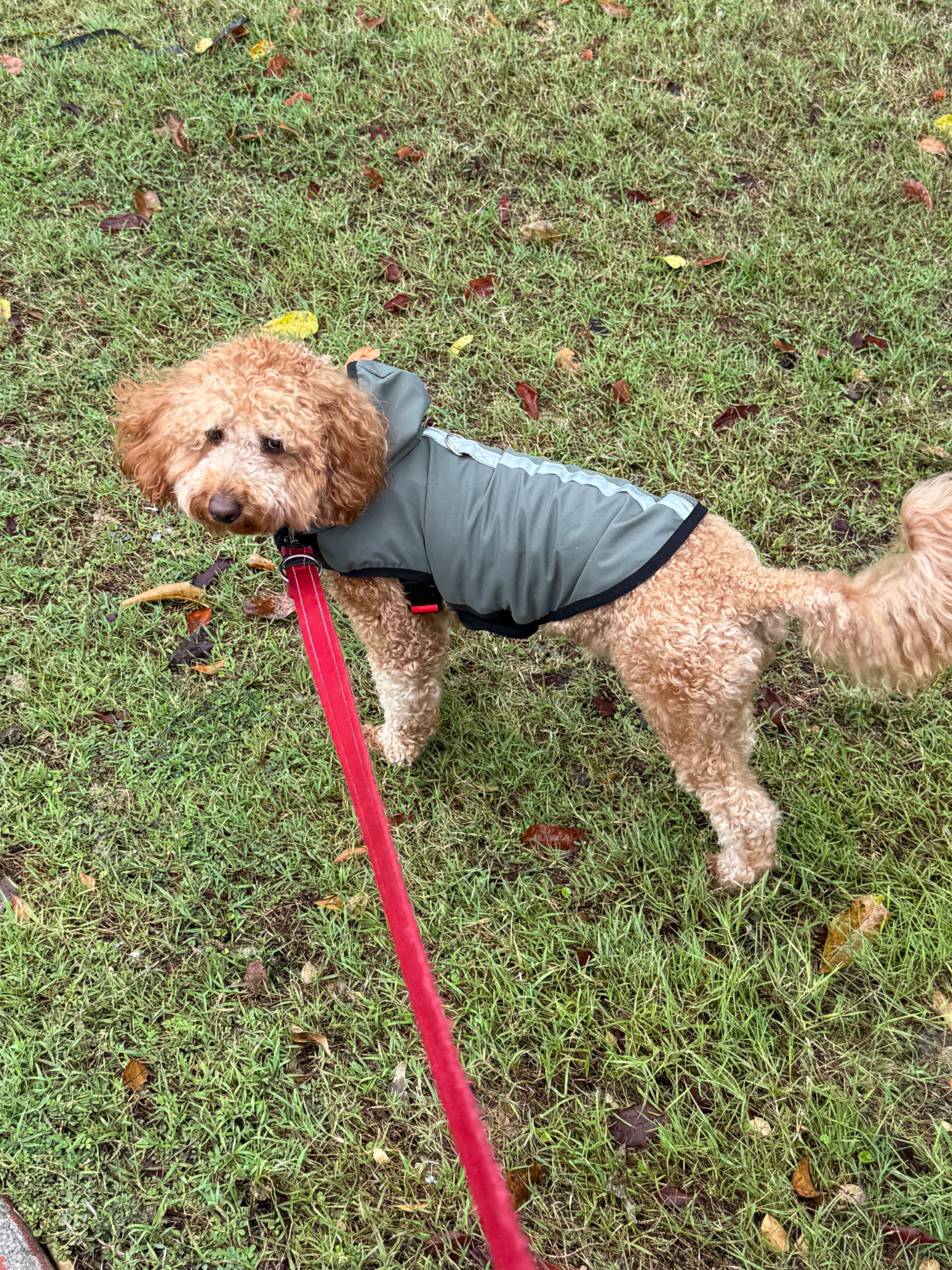 image-0