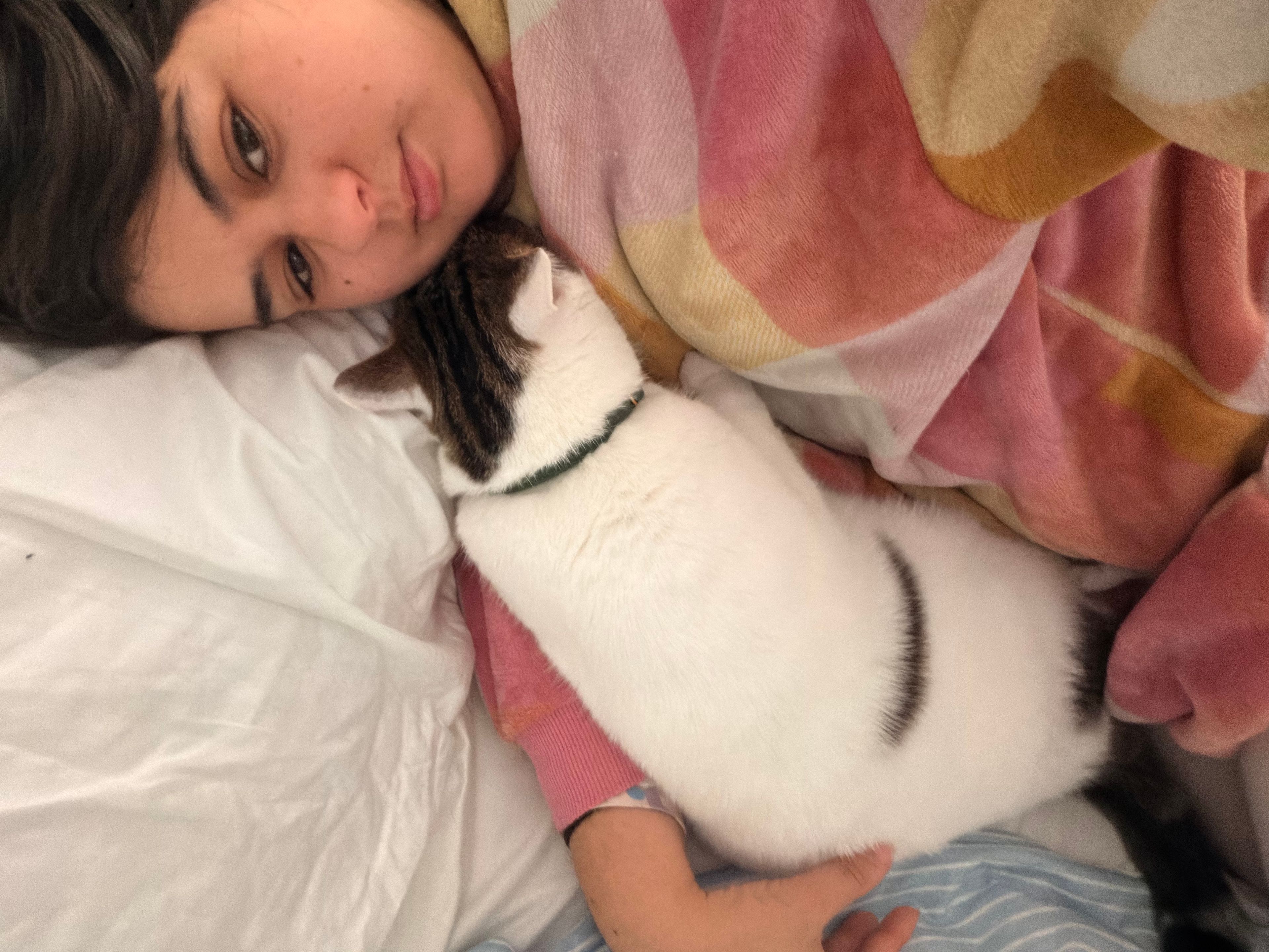 image-9