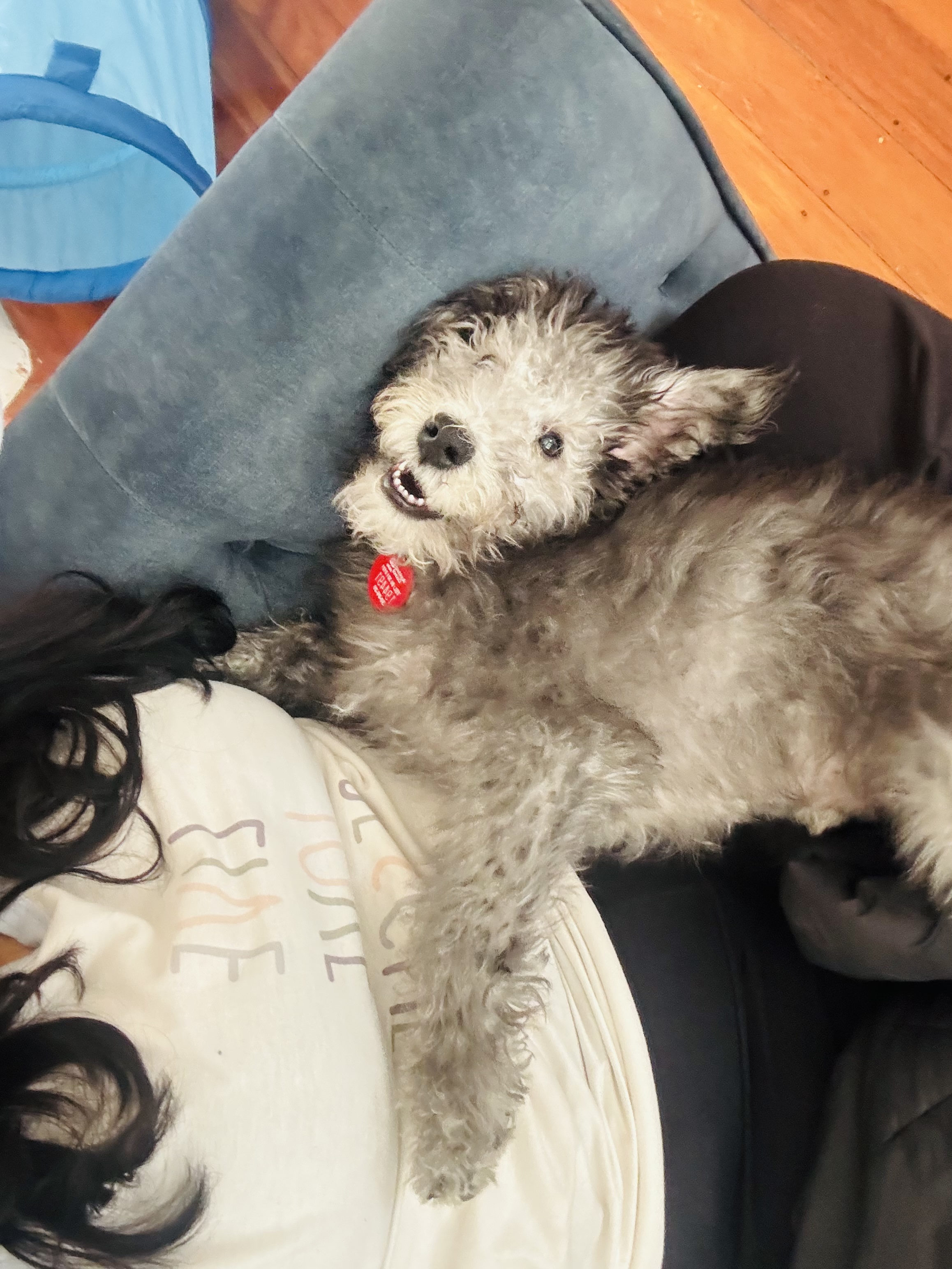 image-7