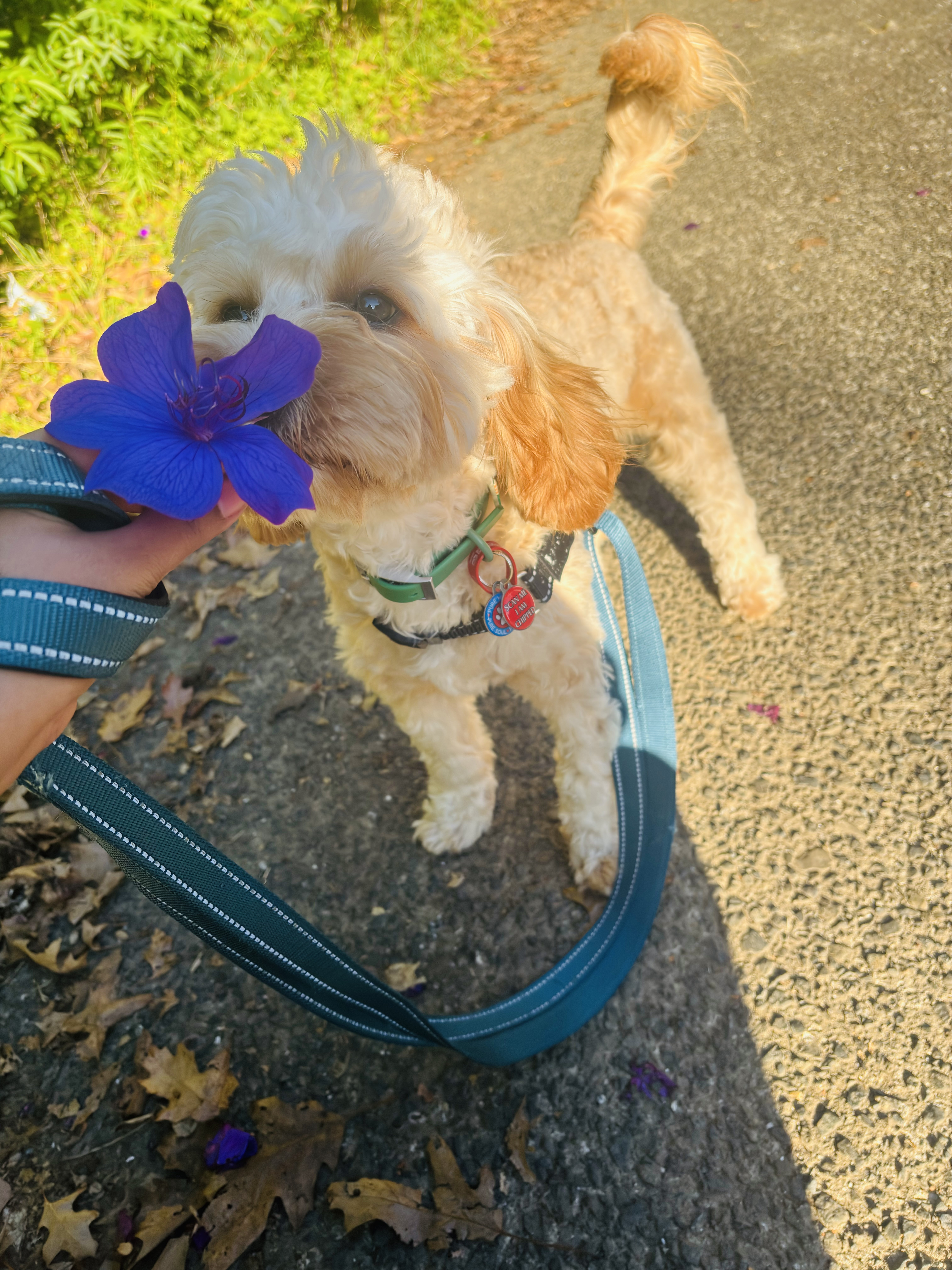 image-6