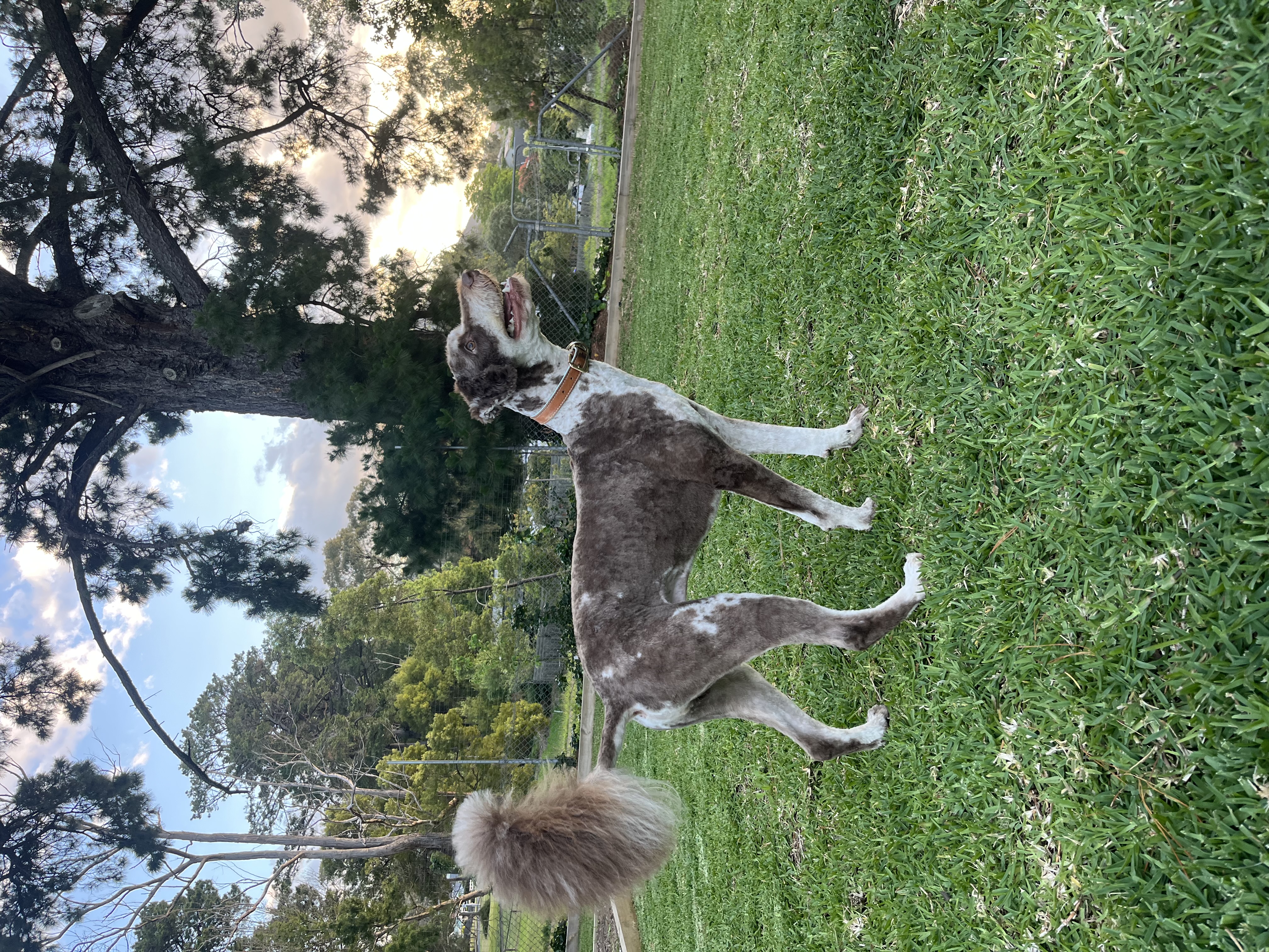 image-15