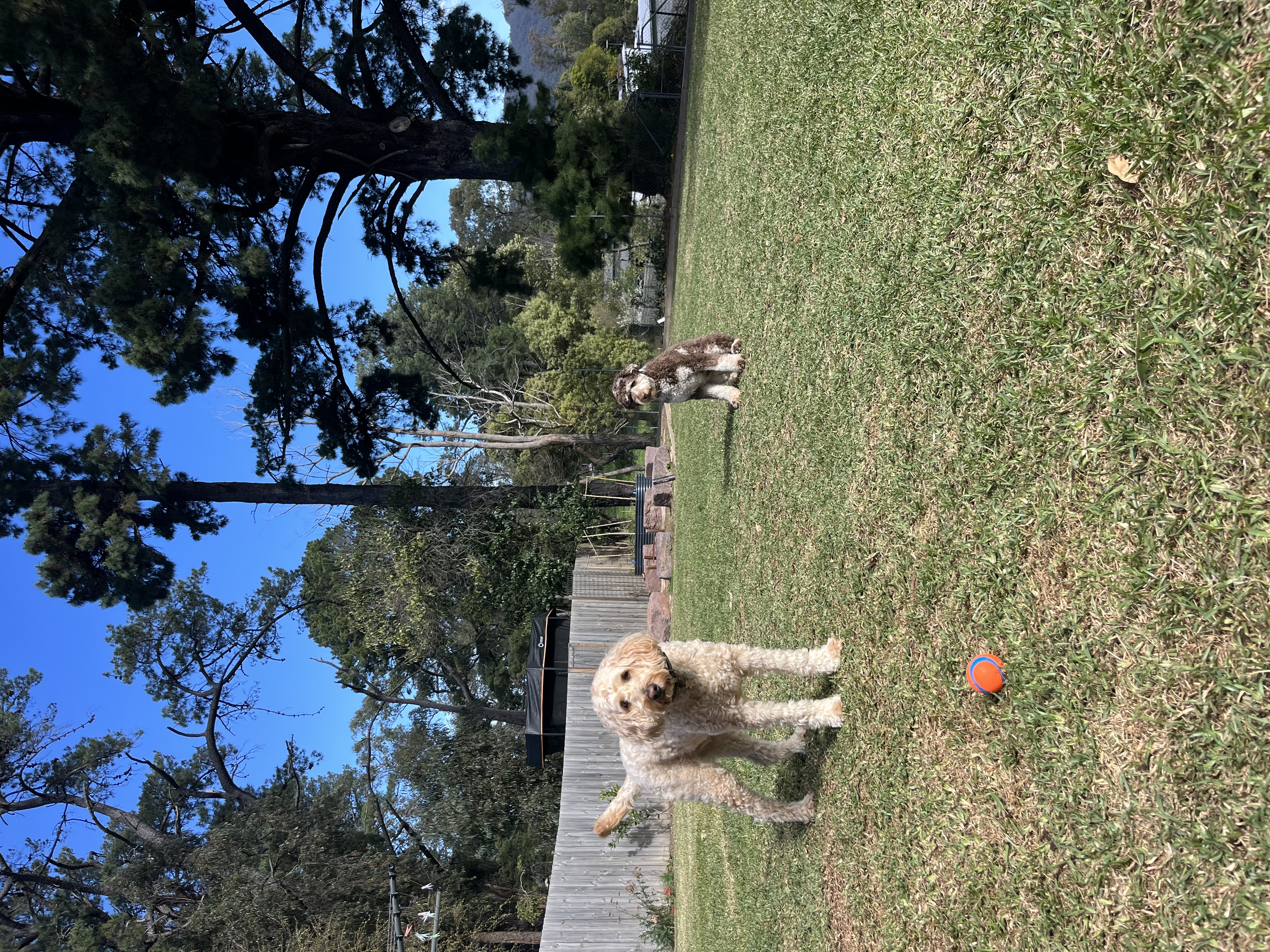 image-16