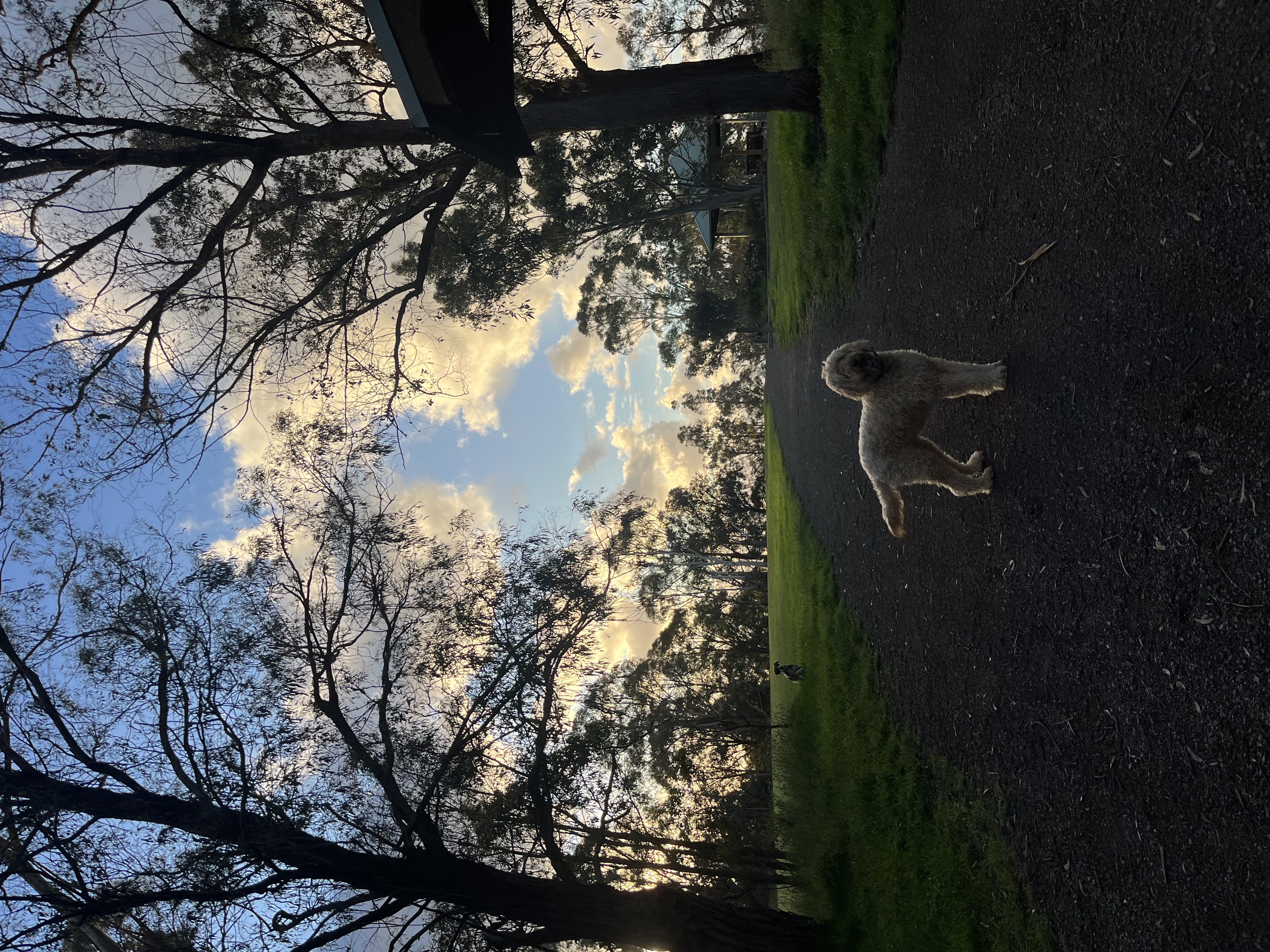 image-8