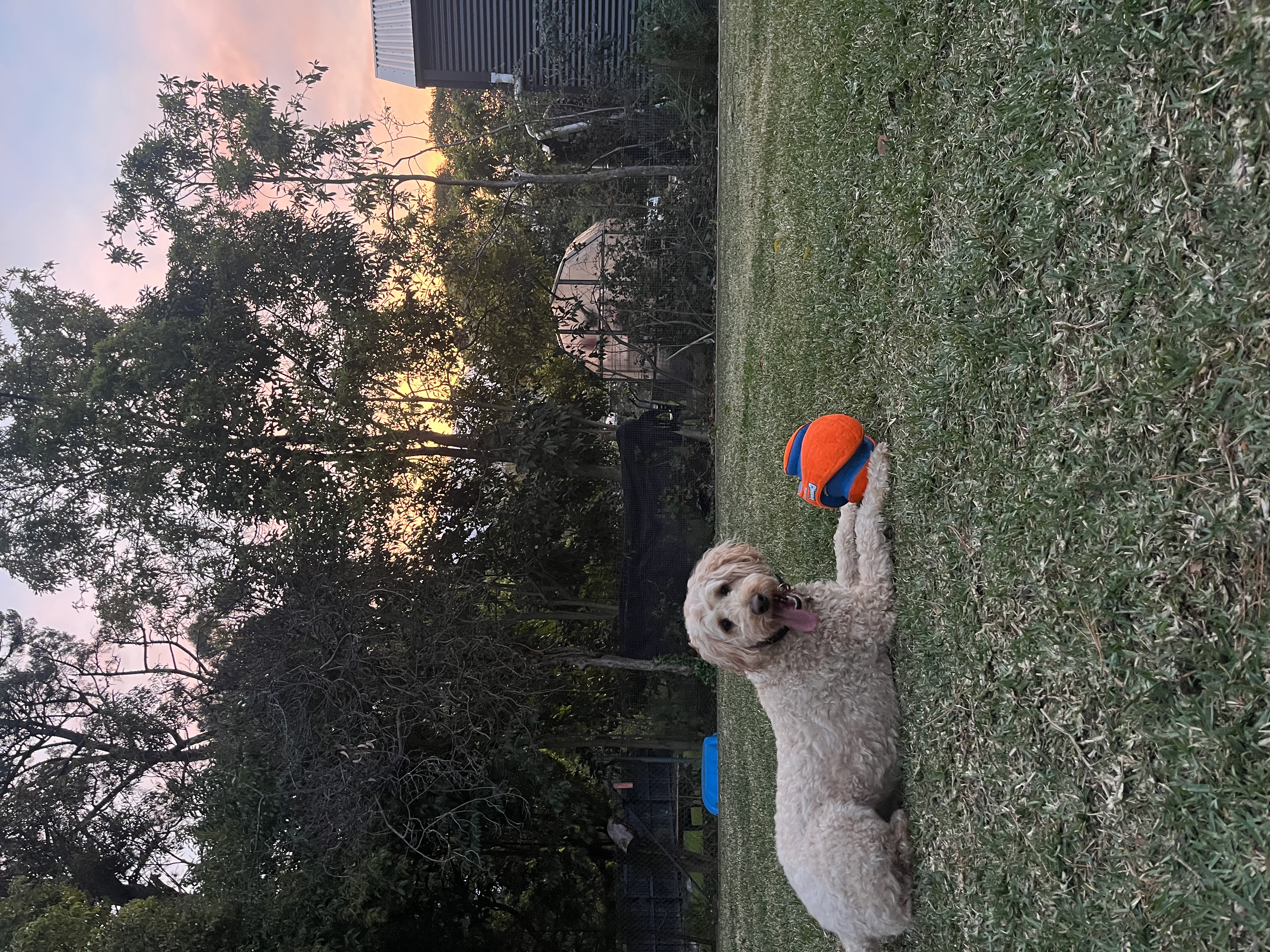 image-14