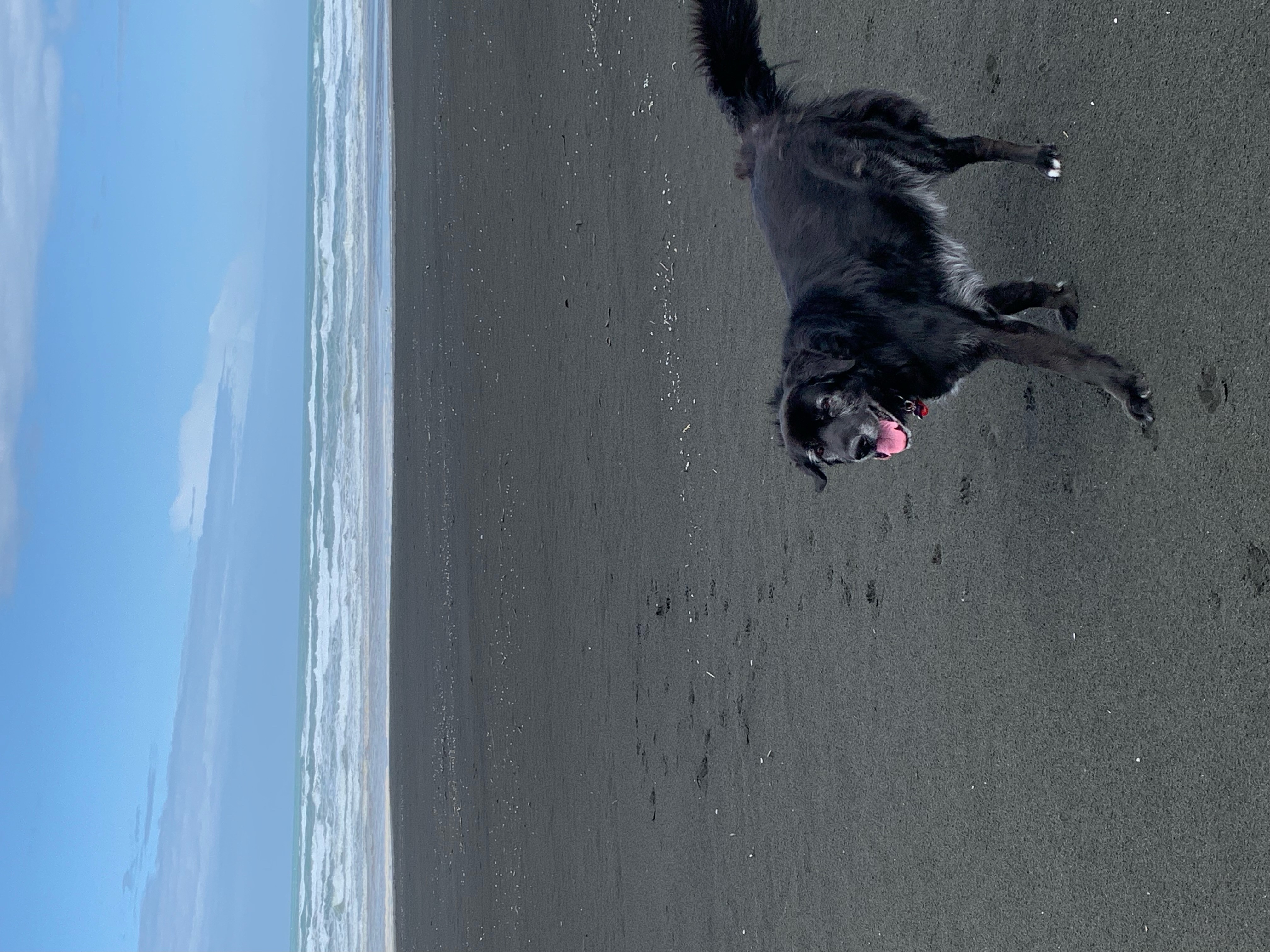 image-8