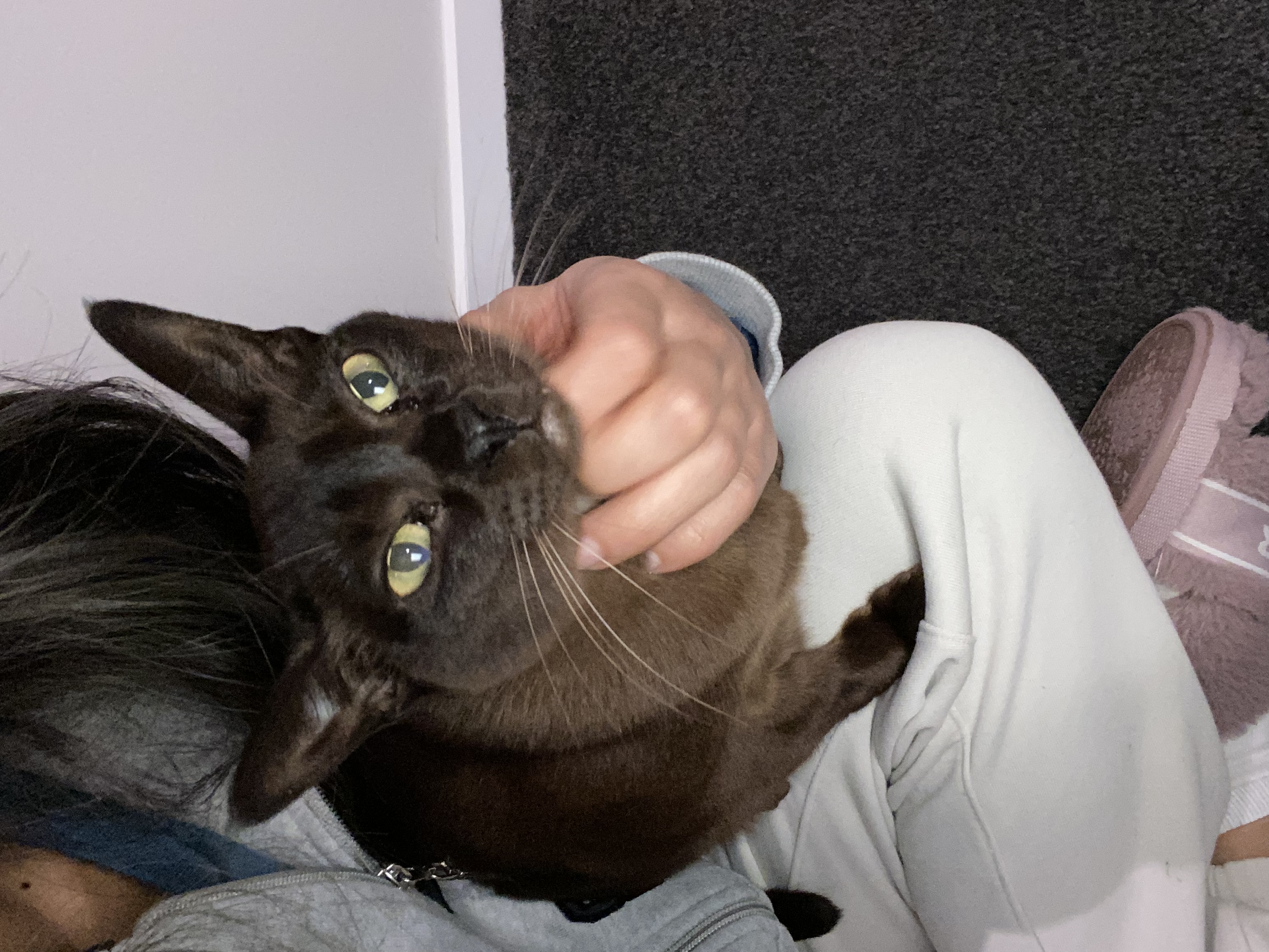 image-6