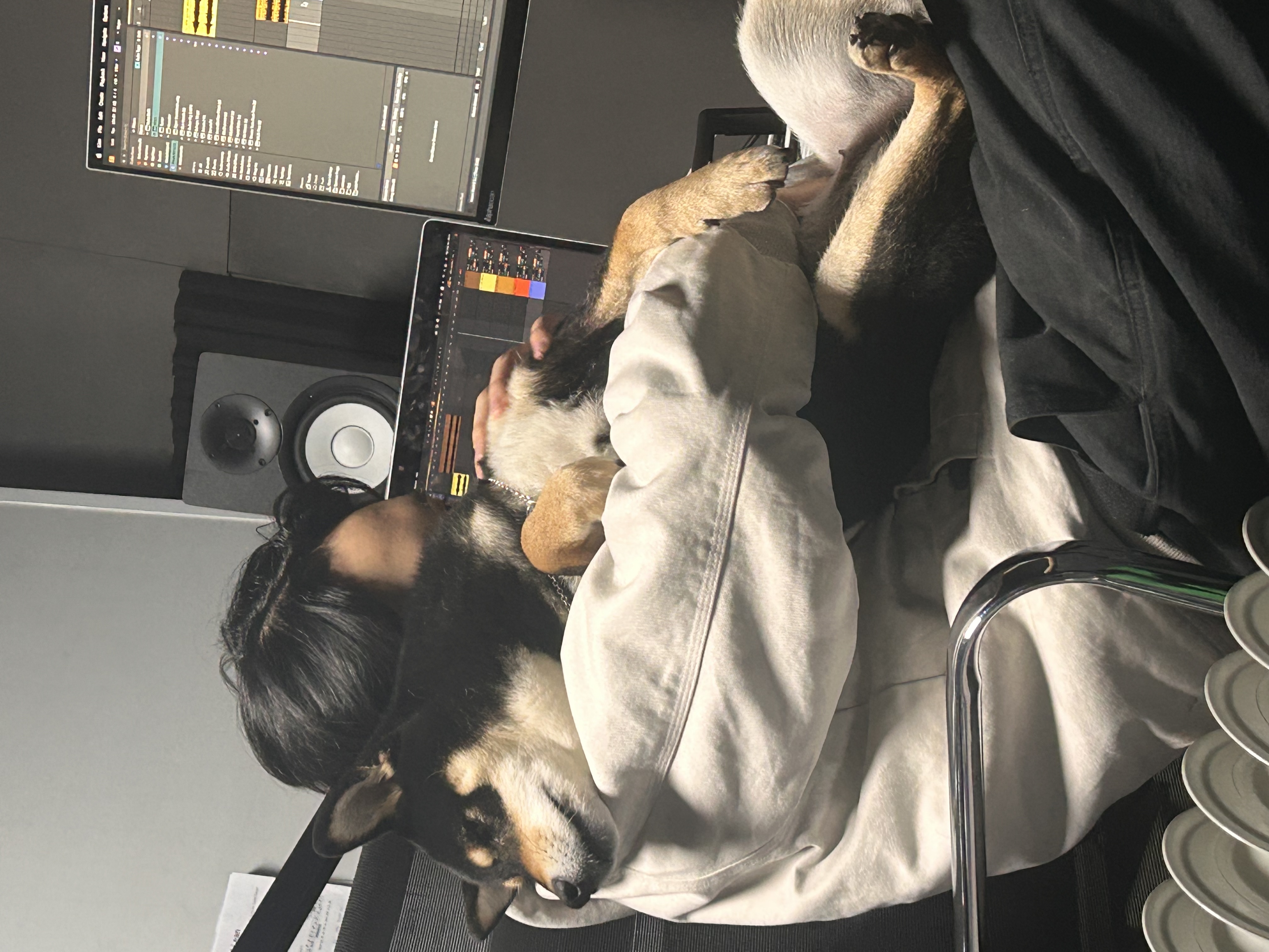 image-7