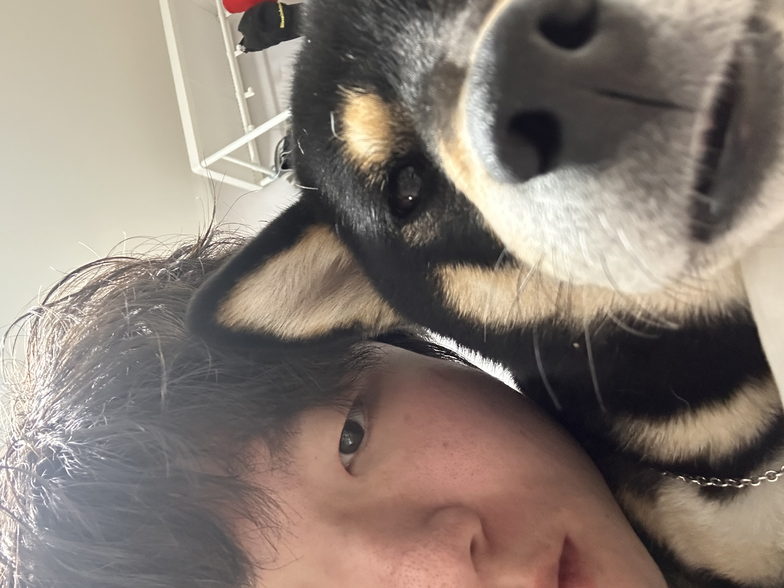 image-8